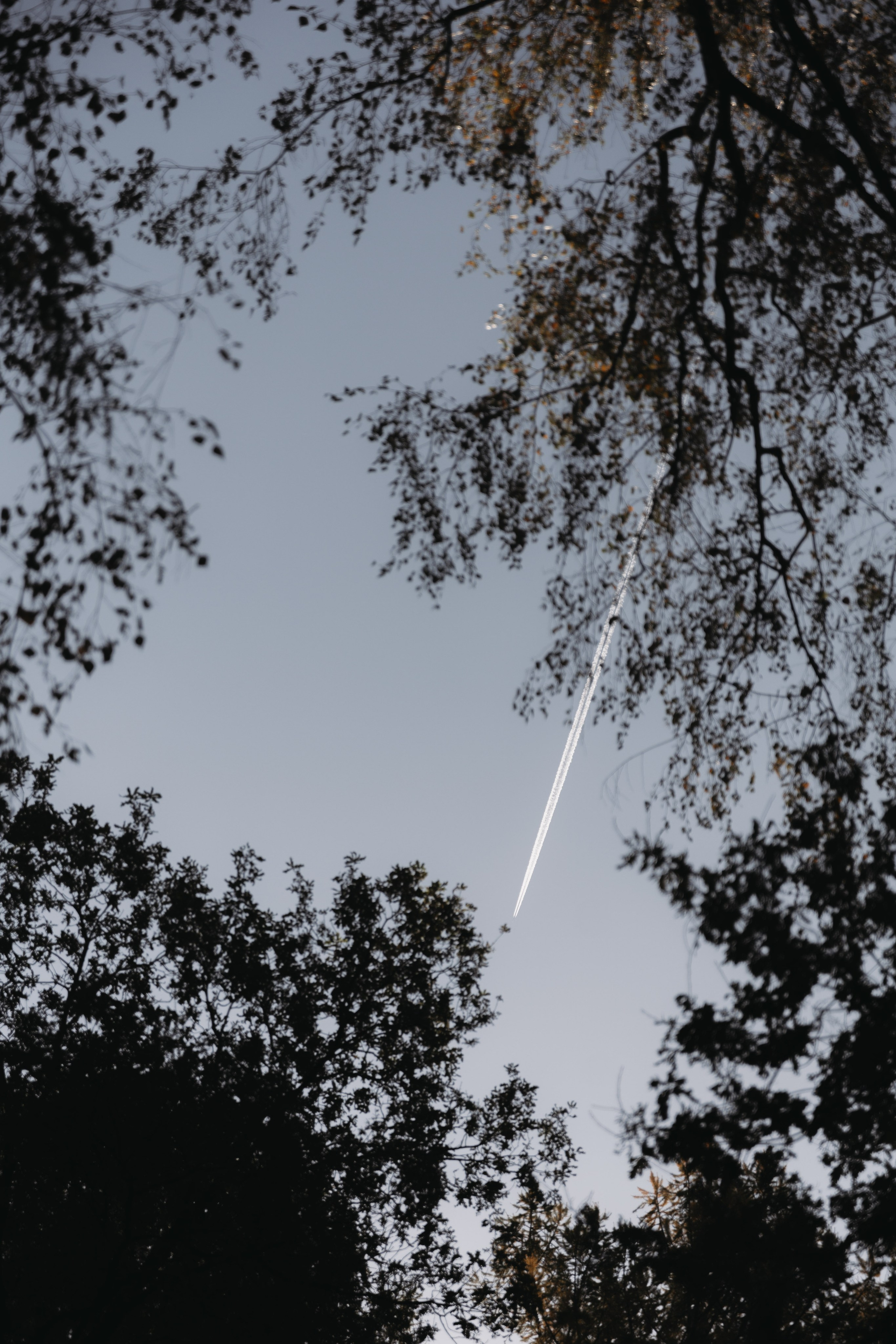 Ю & В. Женский и свадебный фотограф Москва Елизавета Перова