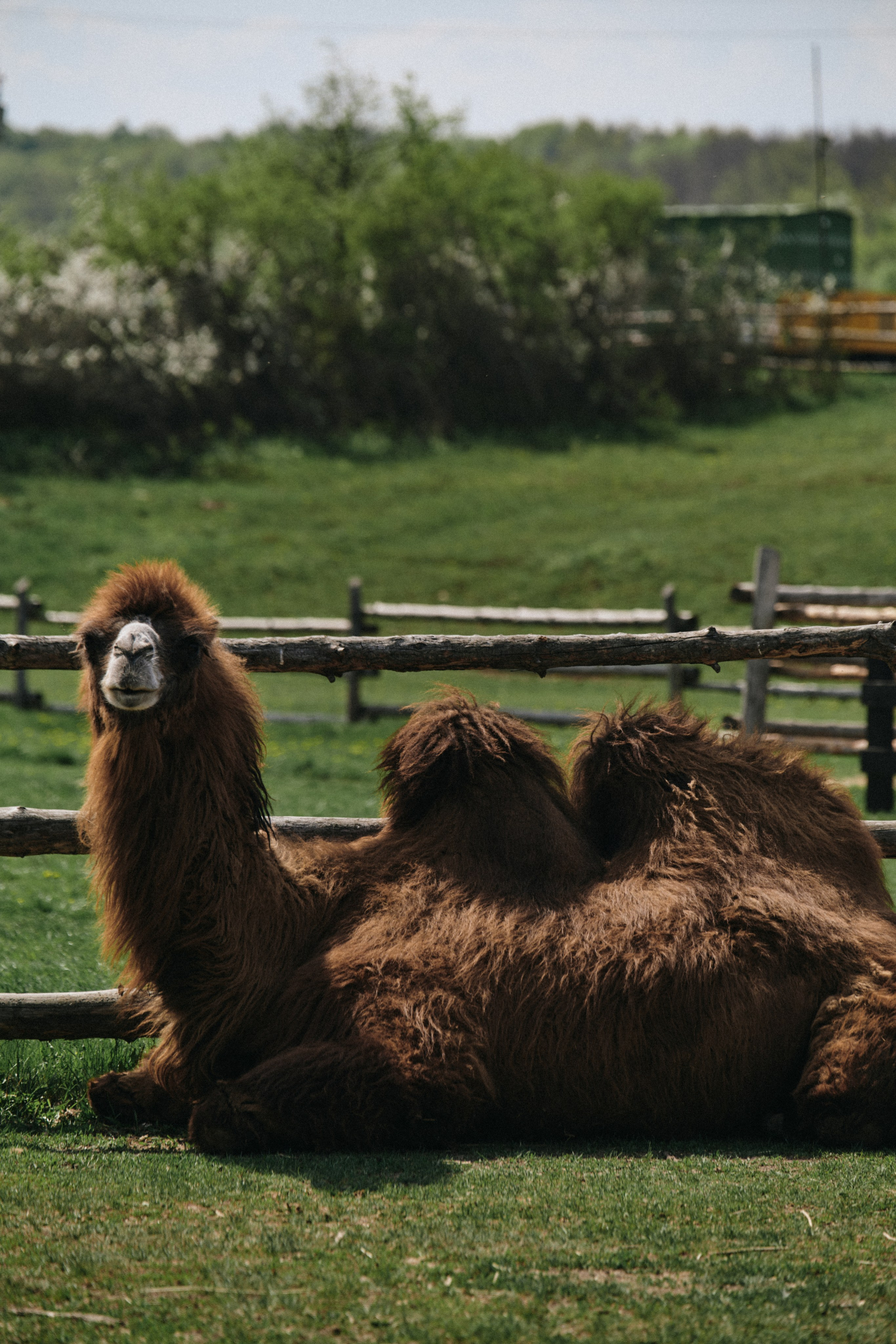 BAON x Кудыкина Гора. Фотограф Сурков Никита