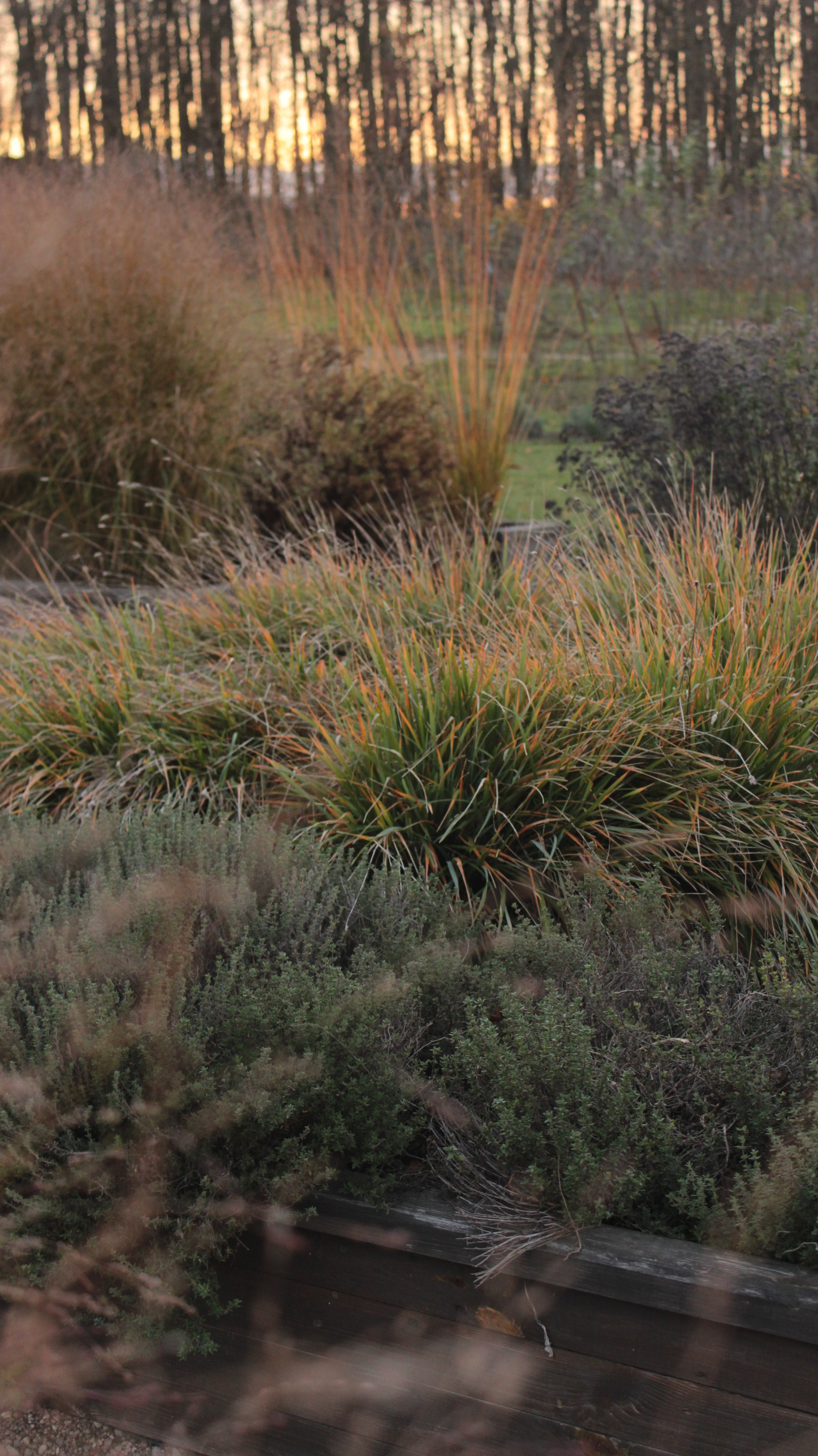 APOTHECARY GARDEN. LA. Ландшафтный дизайн в Минске и Гродно