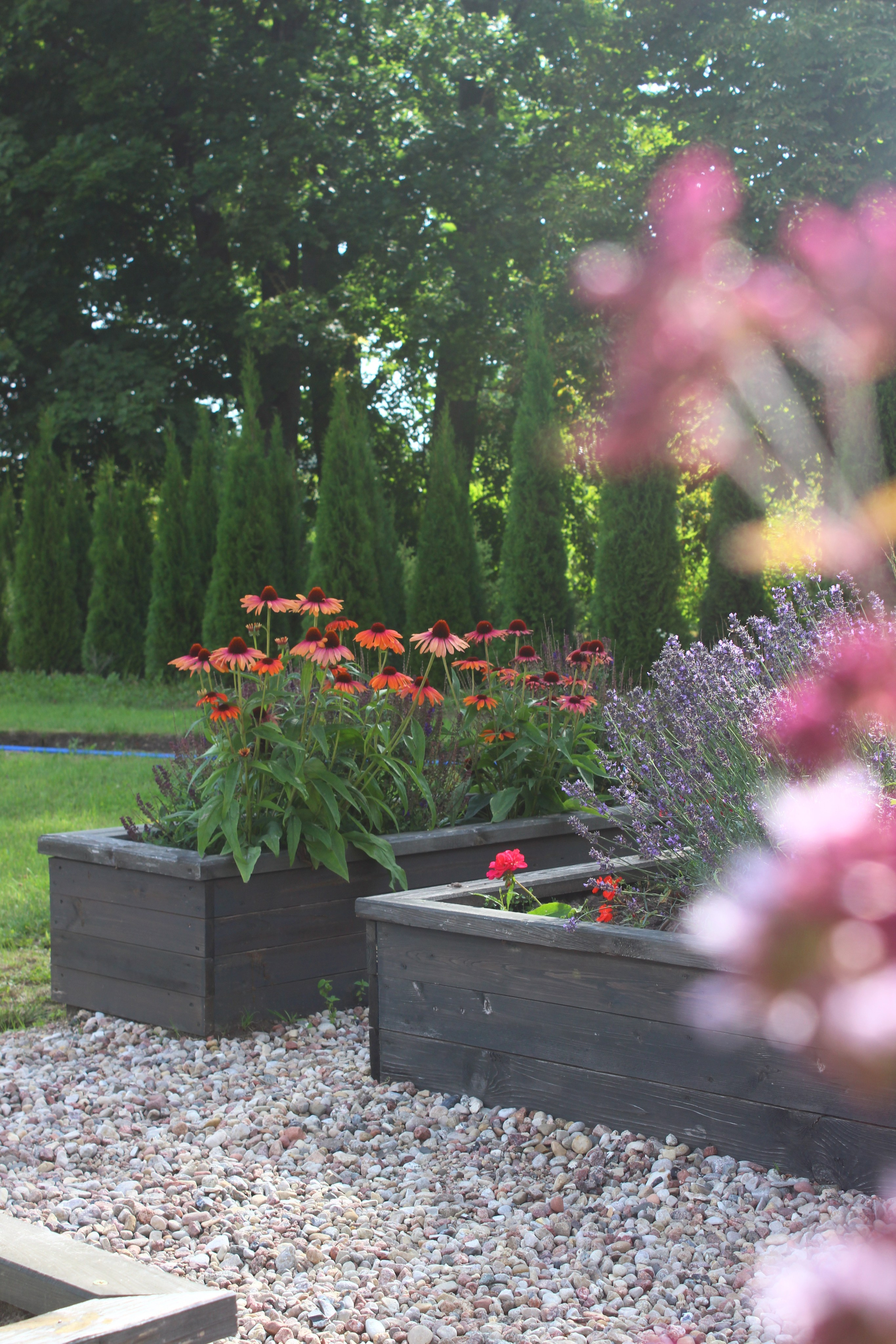 APOTHECARY GARDEN. LA. Ландшафтный дизайн в Минске и Гродно