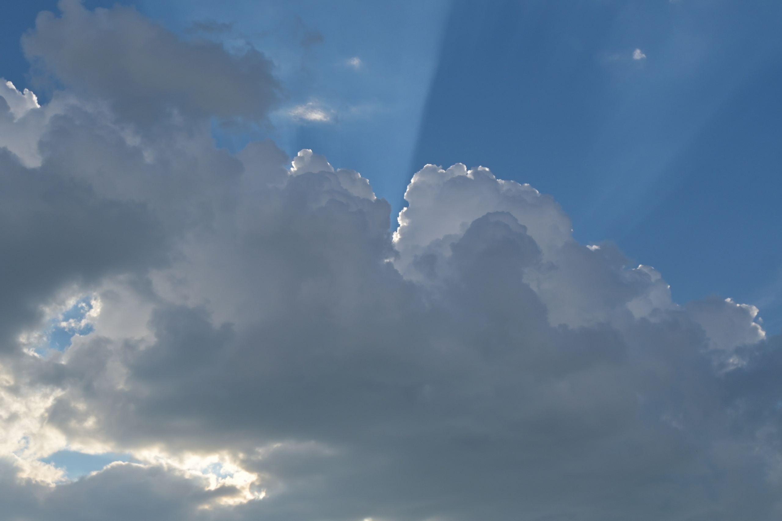 20 240 629 От Киевской до Арбатской. Дмитрий Ремизов. Фотография, как хобби