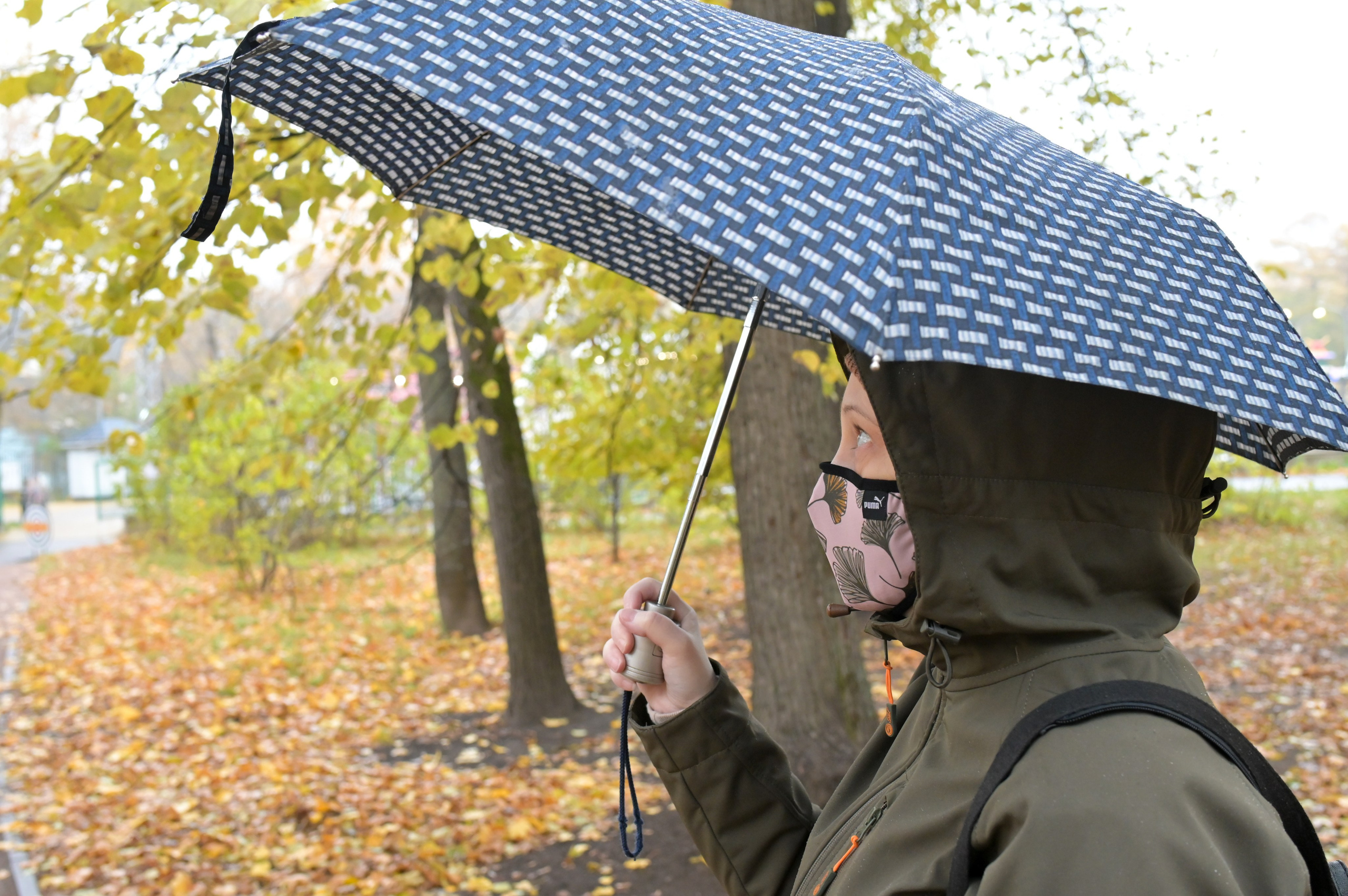 20241026 Сокольники. Дмитрий Ремизов. Фотография, как хобби