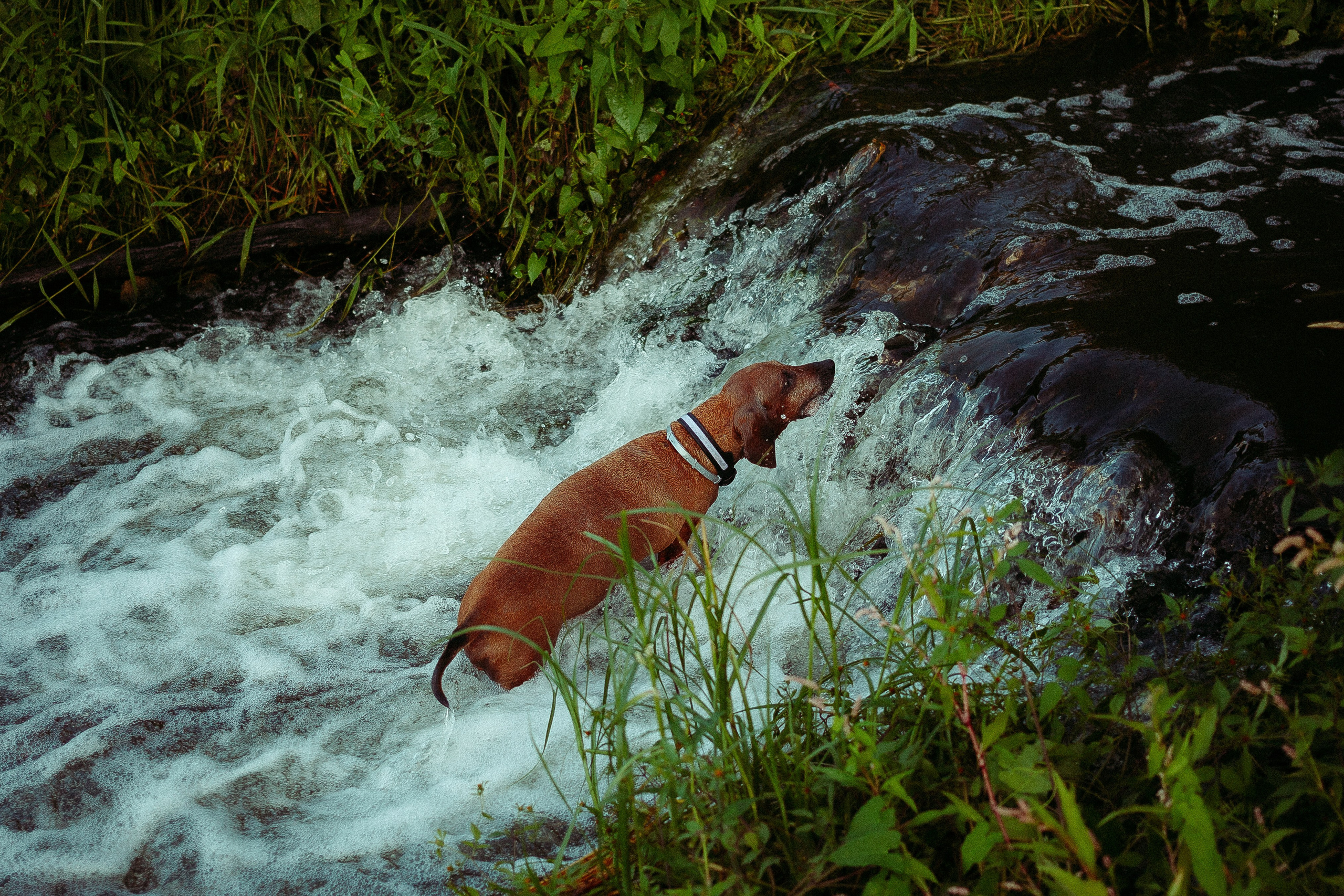 Катя. Леонид Рябов — фотограф в Нижнем Новгороде