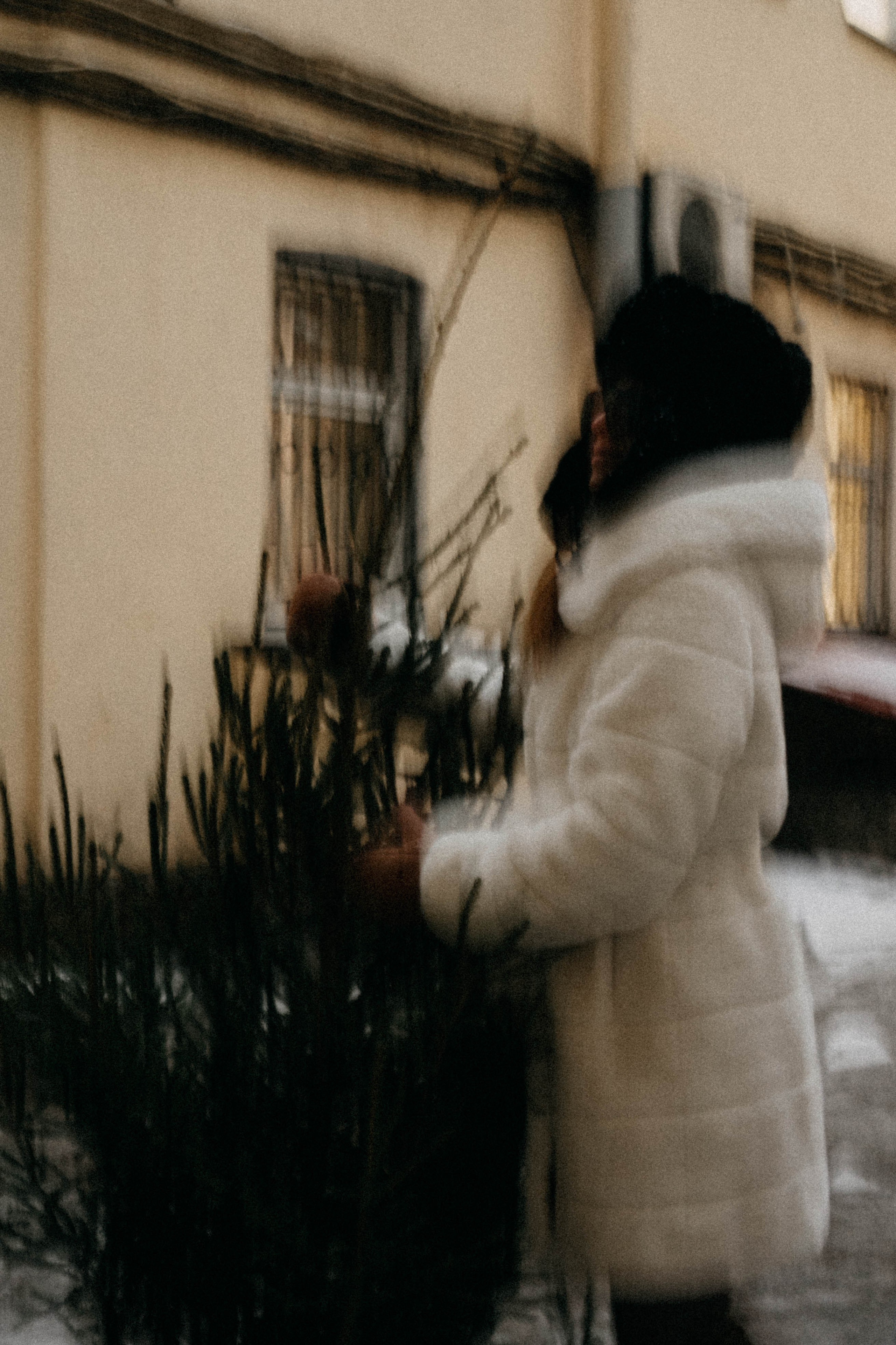 Новогодняя. Профессиональный фотограф, Санкт-Петербург — Виктория Богомолова