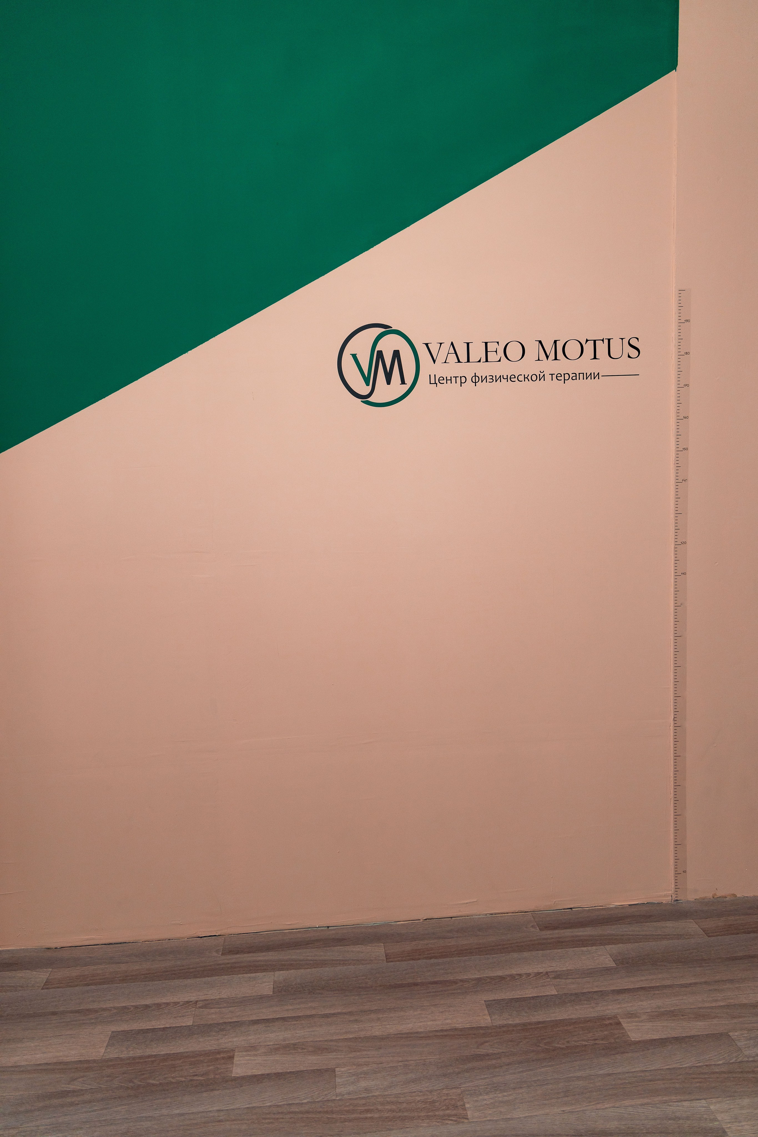 Для спортивной студии Валео Мотус. Свадебный фотограф в городе Подольск МО и Москва Крылова Ирина