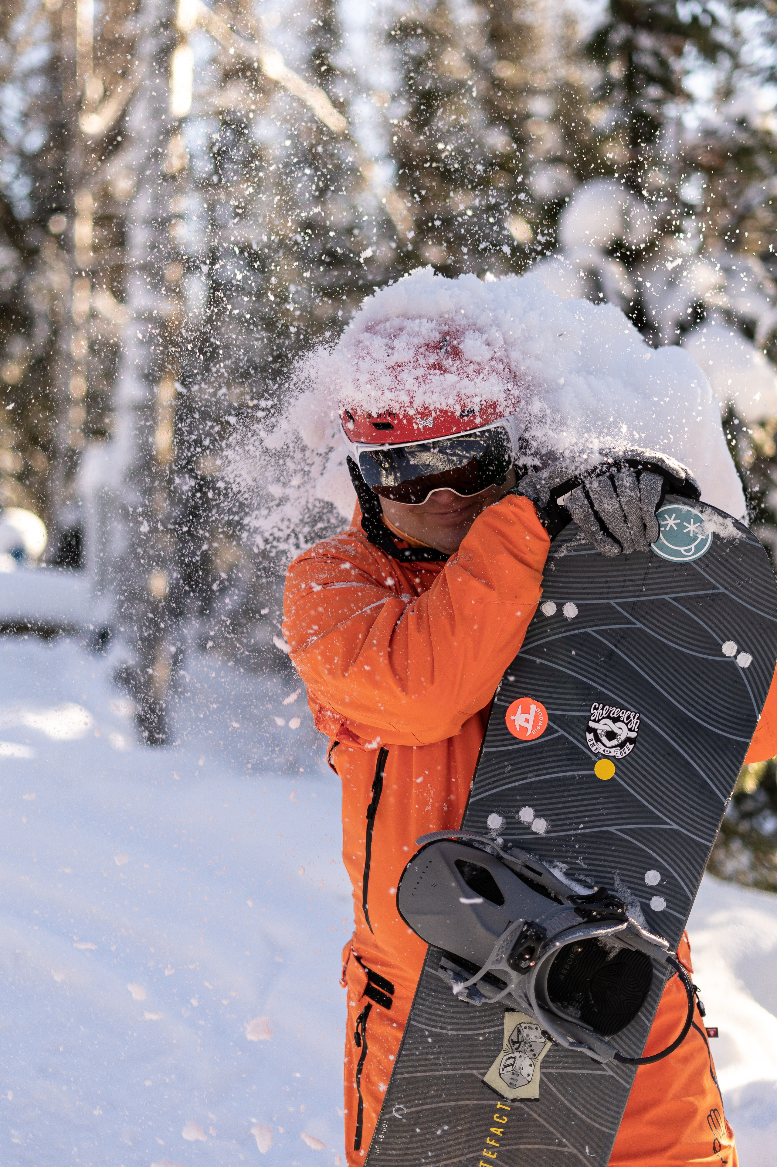 Джой. Анастасия Паршукова — фотограф Шерегеш Новосибирск