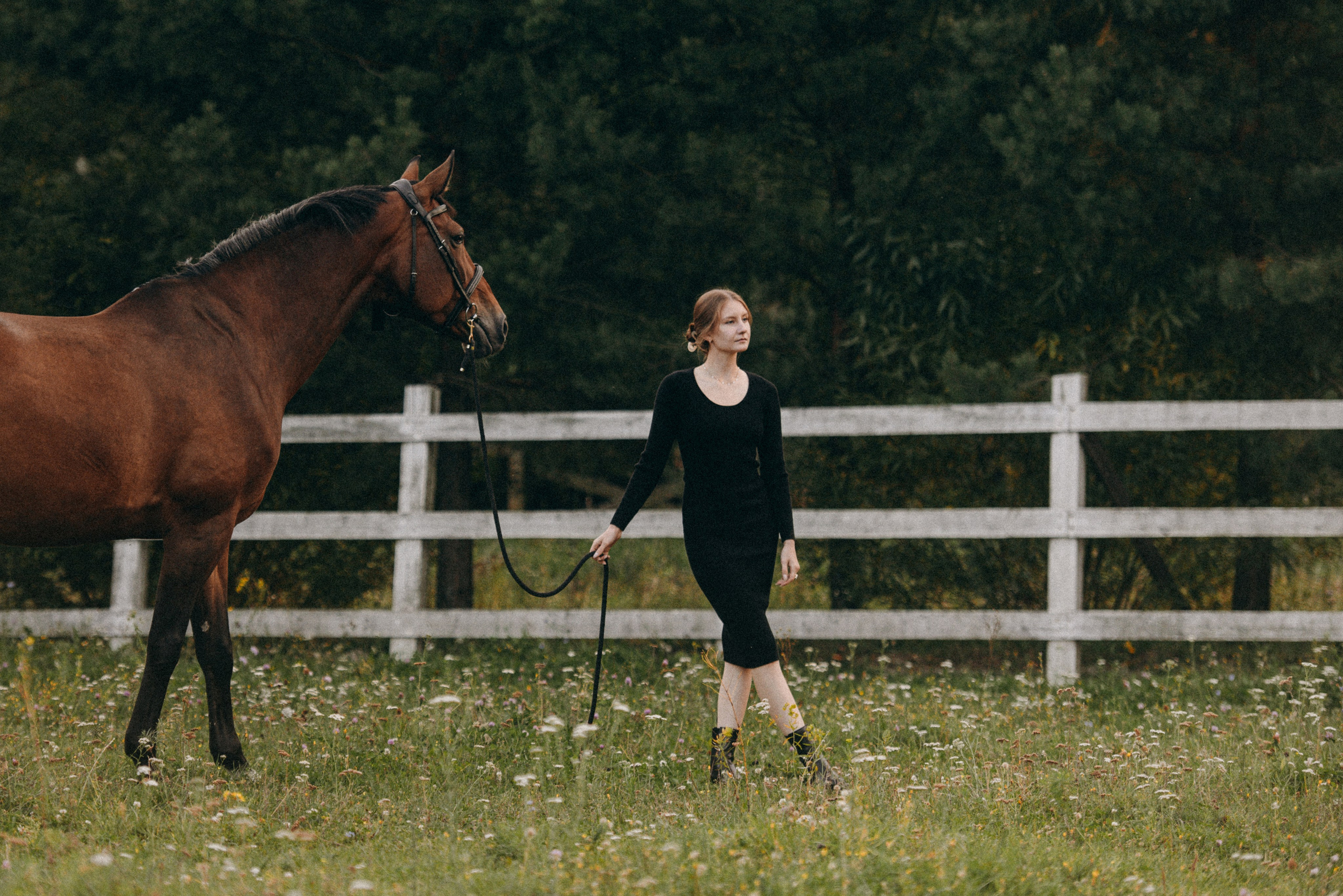 Соня и Лоли Поп. MariaGohri — Конный фотограф, анималист, Рязань