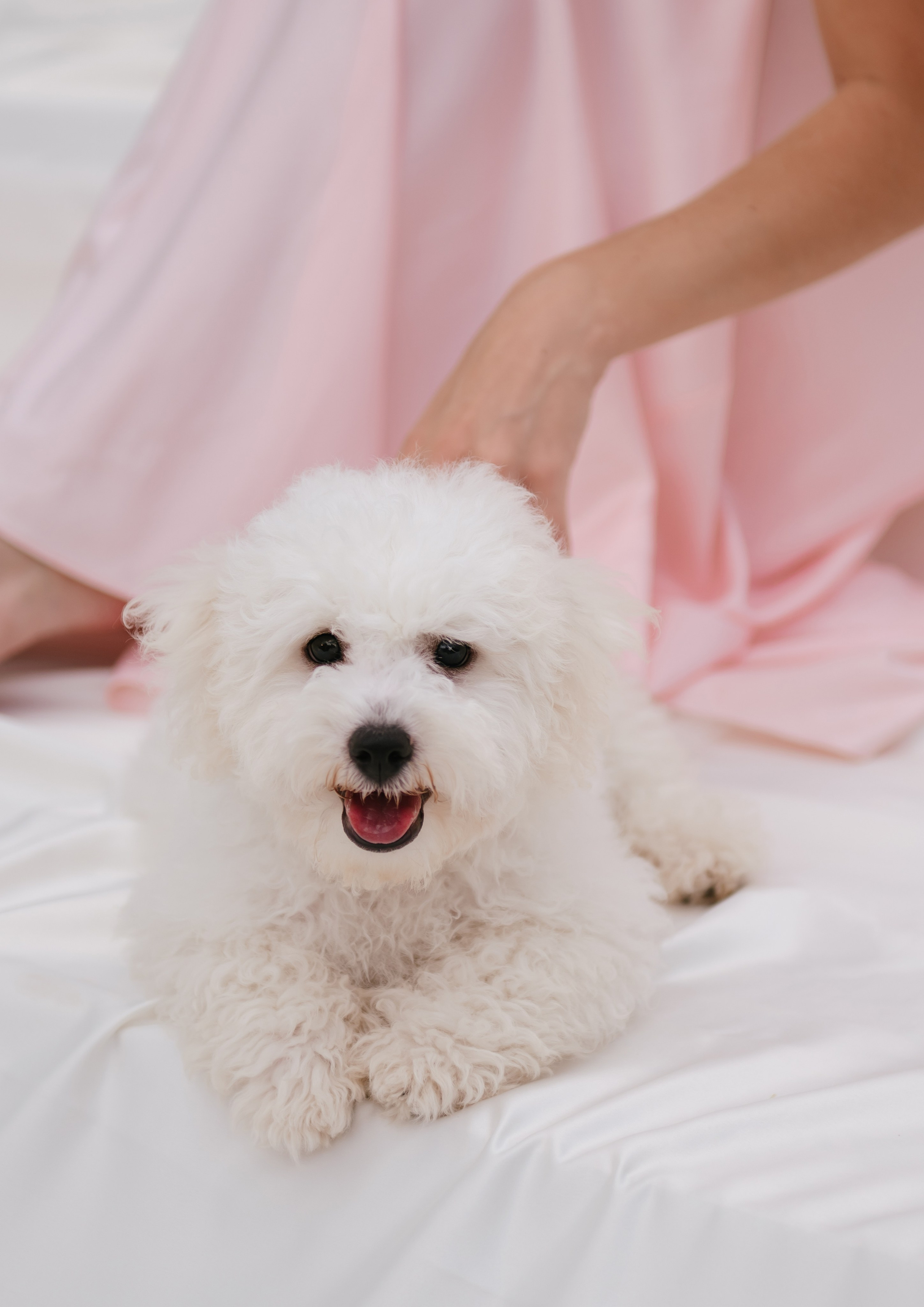 Никита и Настя (Серебряное озеро). Свадебный, женский, семейный фотограф в Севастополе Юлия Мошенко