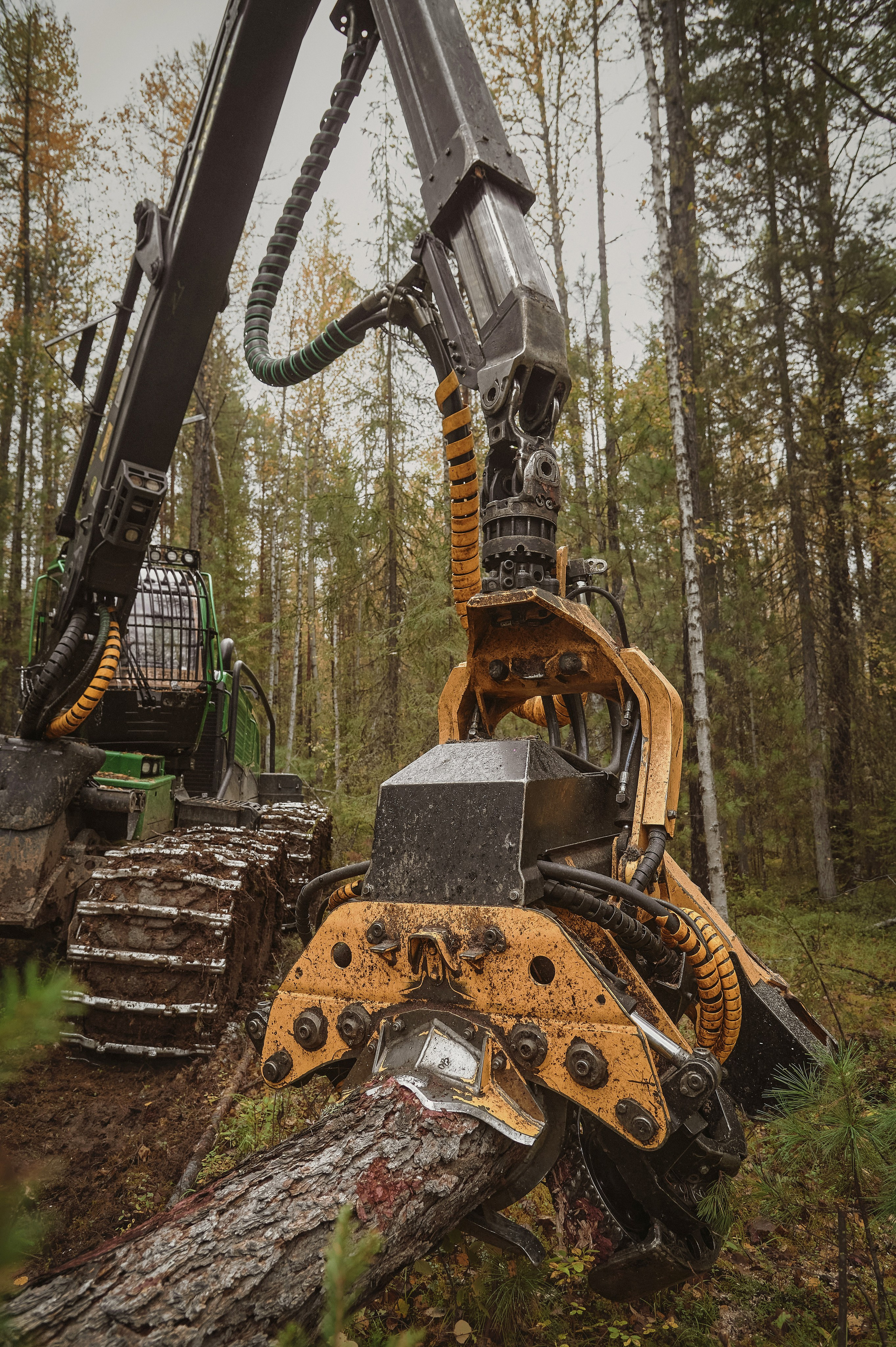 Лесозаготовка г. Мотыгино. Фотограф Яковлев Роман — Красноярск