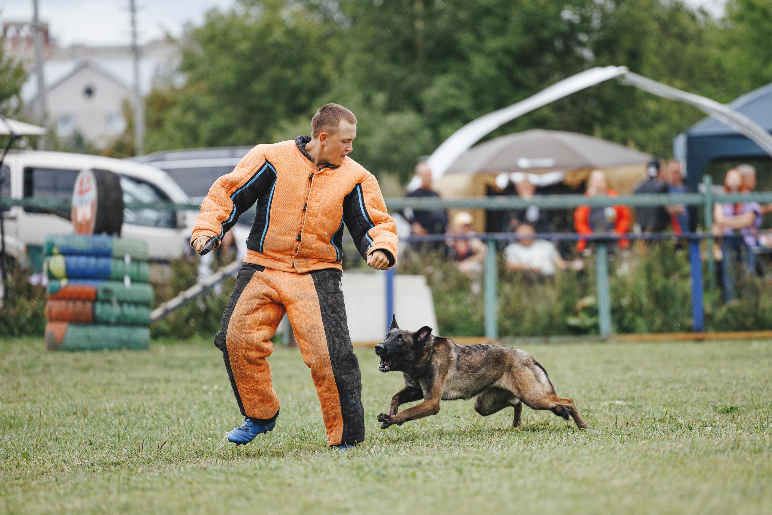 08.08.25-10.08.25 ЧР по мондьорингу г. Вологда. Фотограф-анималист Анна Маринич