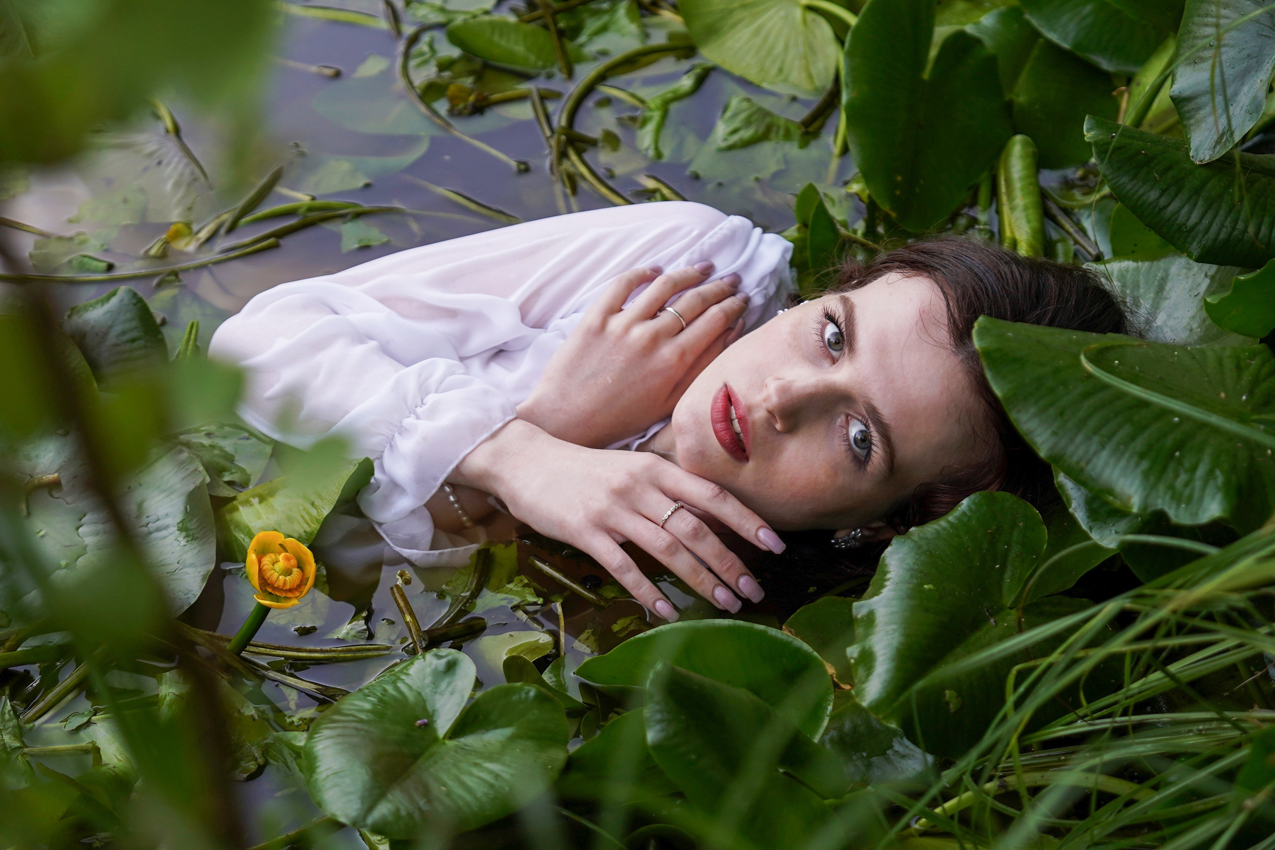 Русалки и водные лилии. Главная