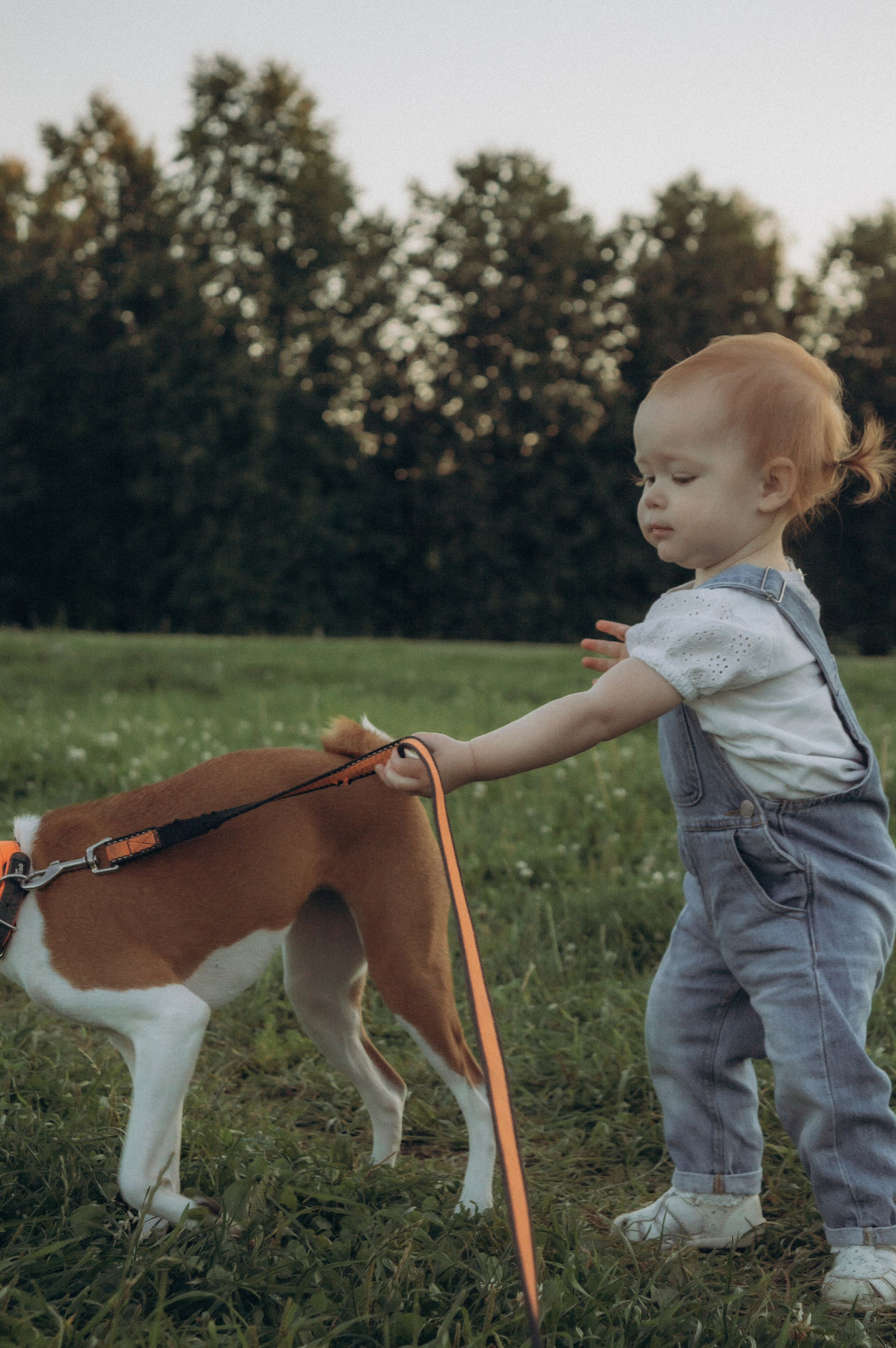 Аромат августа. Семейная летняя фотосессия в парке. Москва. Юлия Левада Семейный и женский фотограф