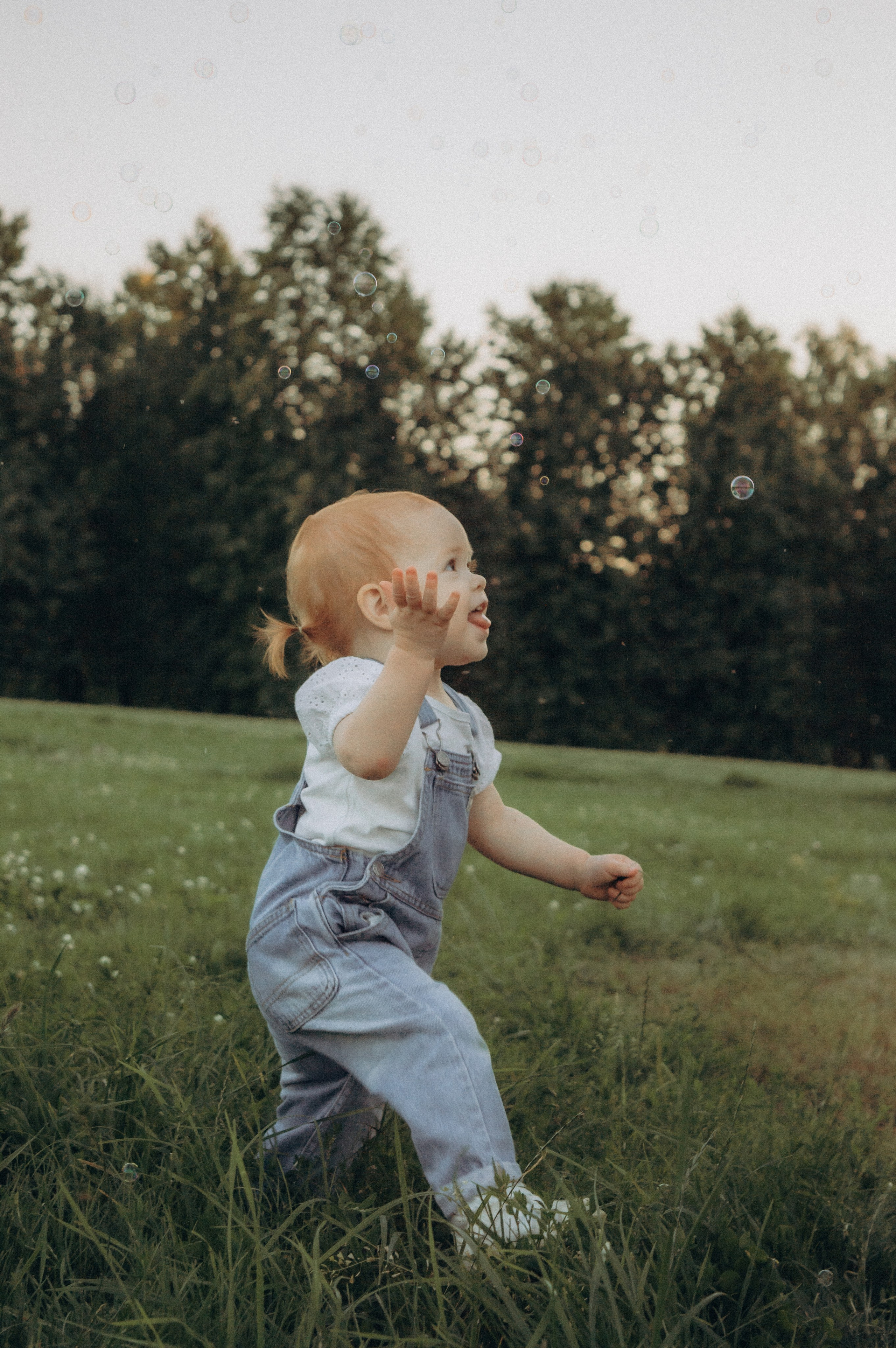 Аромат августа. Семейная летняя фотосессия в парке. Москва. Юлия Левада Семейный и женский фотограф
