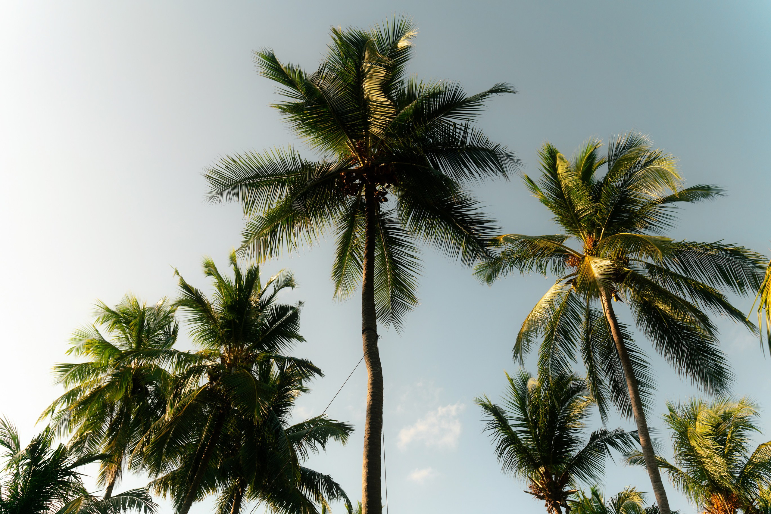 Ktokuda. Фотограф в Хабаровске. Фотография за 24 часа