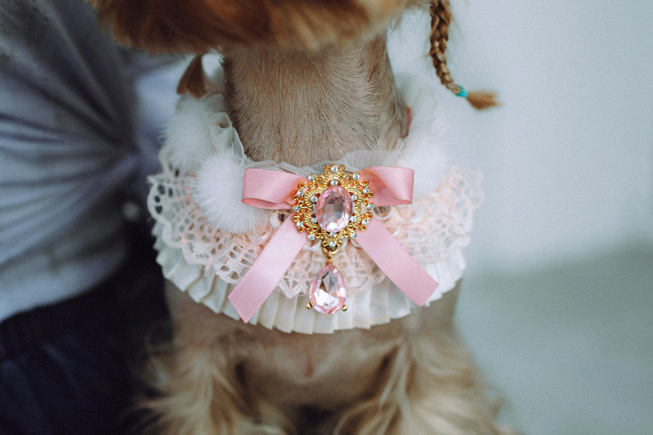 Дженни, Оливия и их семья