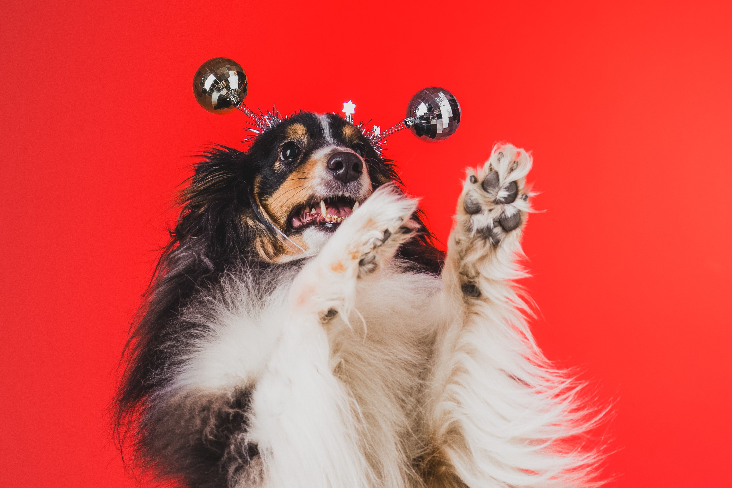 Воркшоп по импульсному свету