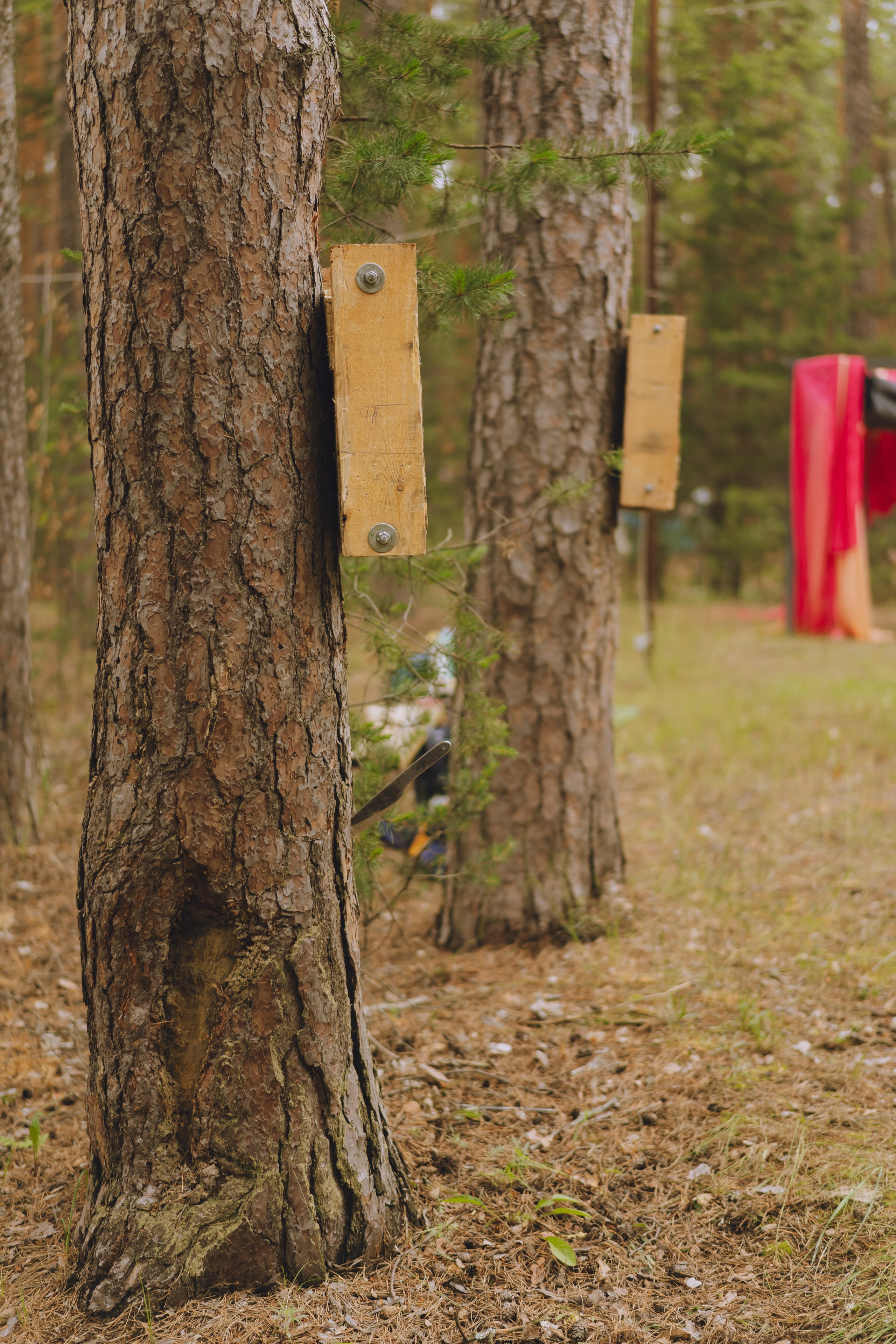 Палаточный форум CAMPot 2025. Фотограф Надежда Погребняк | Рязань | Москва