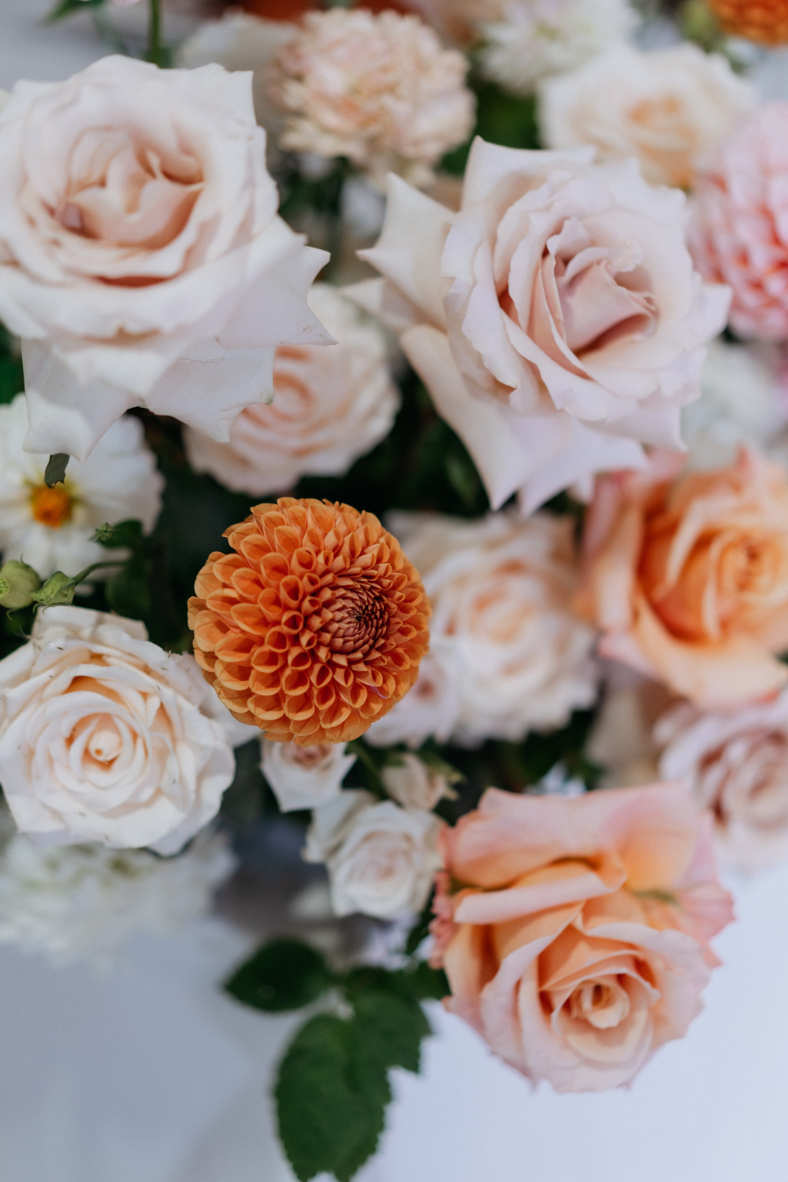 Александр и Ирина. Свадебный и семейный фотограф в Калининграде Анастасия Гриценко