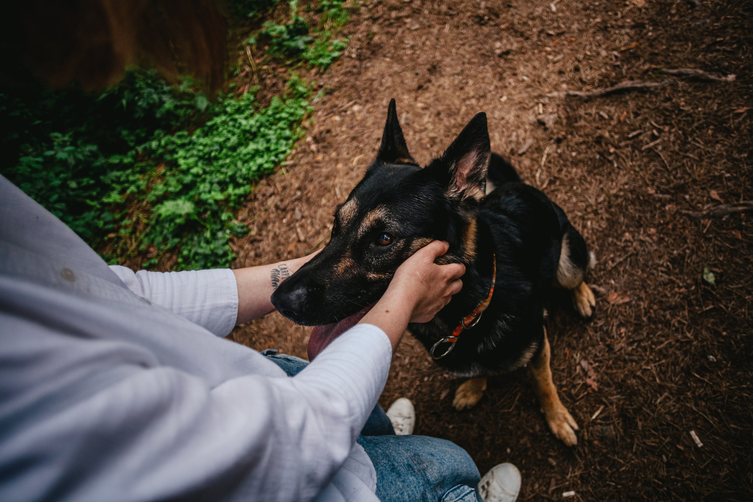 Лесная летняя фотопрогулка. Фотограф-анималист Татьяна Степанова