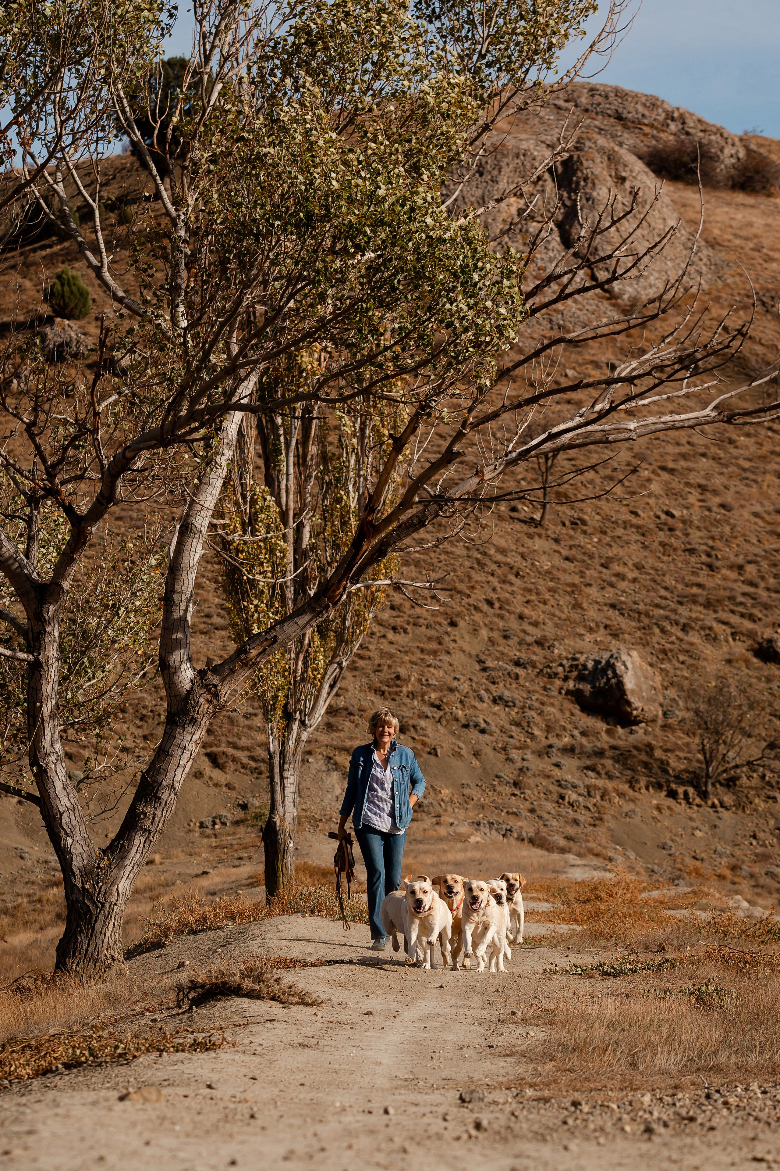 Лабрадоры и горы. Фотограф-анималист в Краснодаре Маша Мельникова