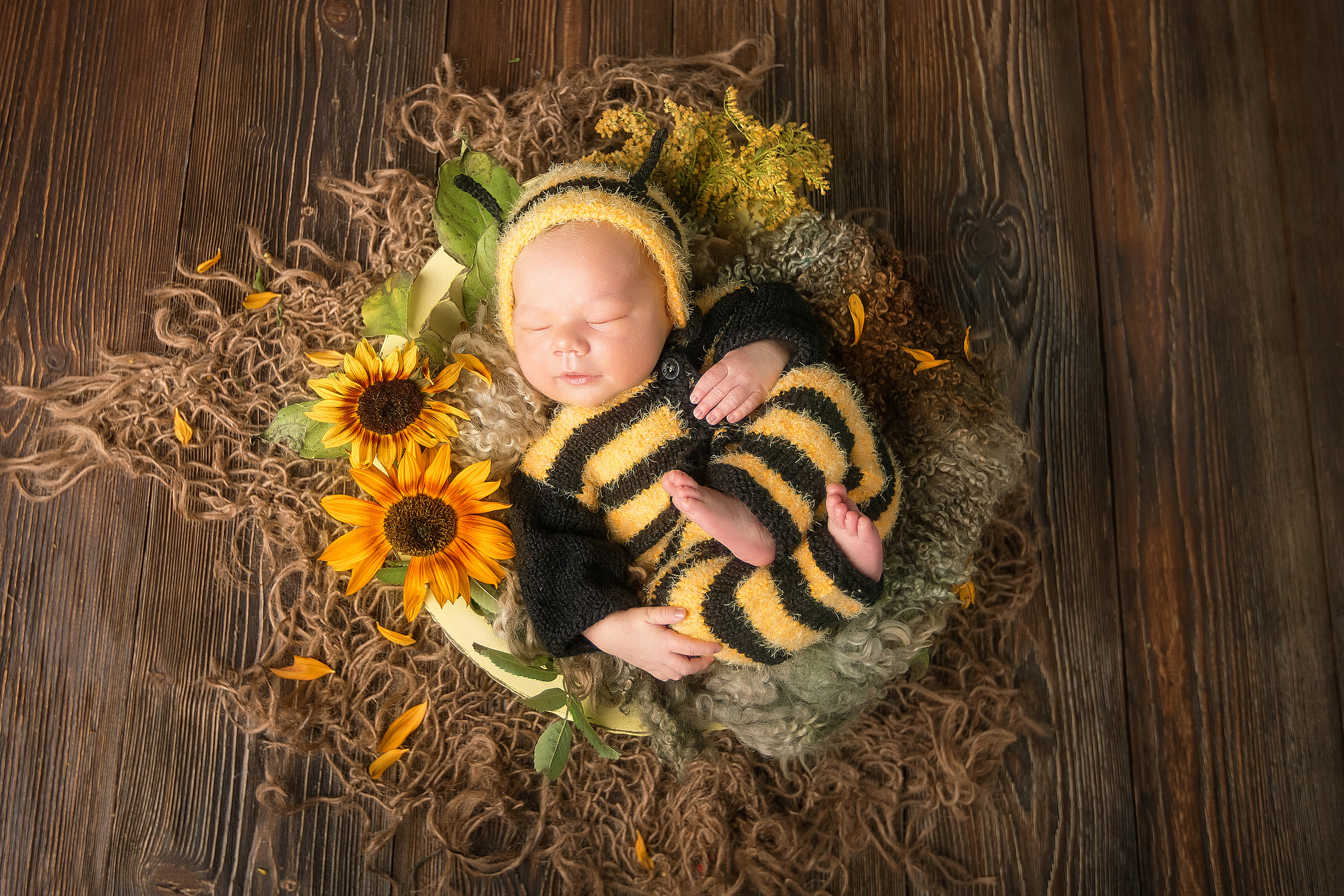 новорожденный малыш в образе пчелки с подсолнухами лежит в корзинке