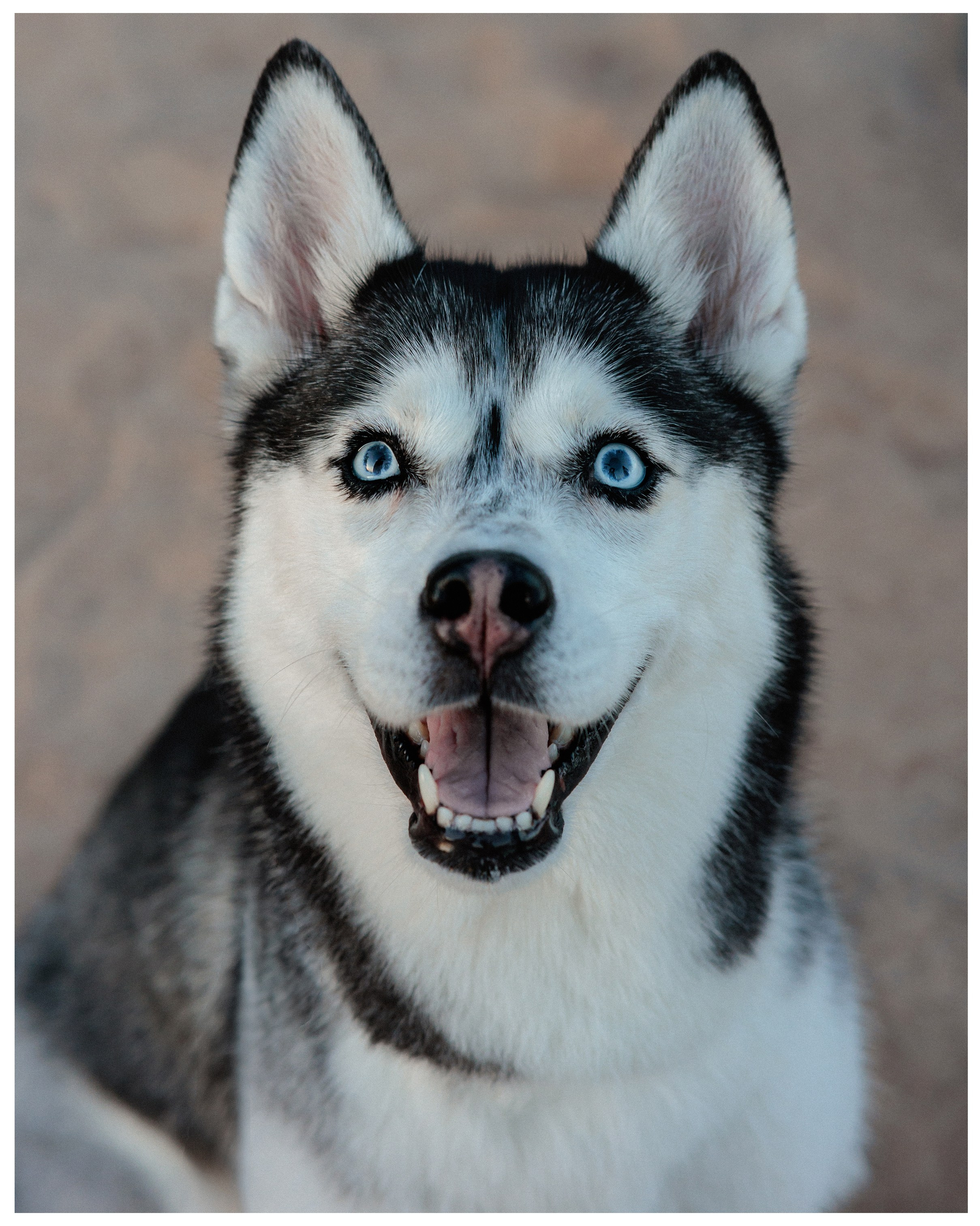 Елена и Эмми. Фотограф в Санкт-Петербурге Алёна Губинская