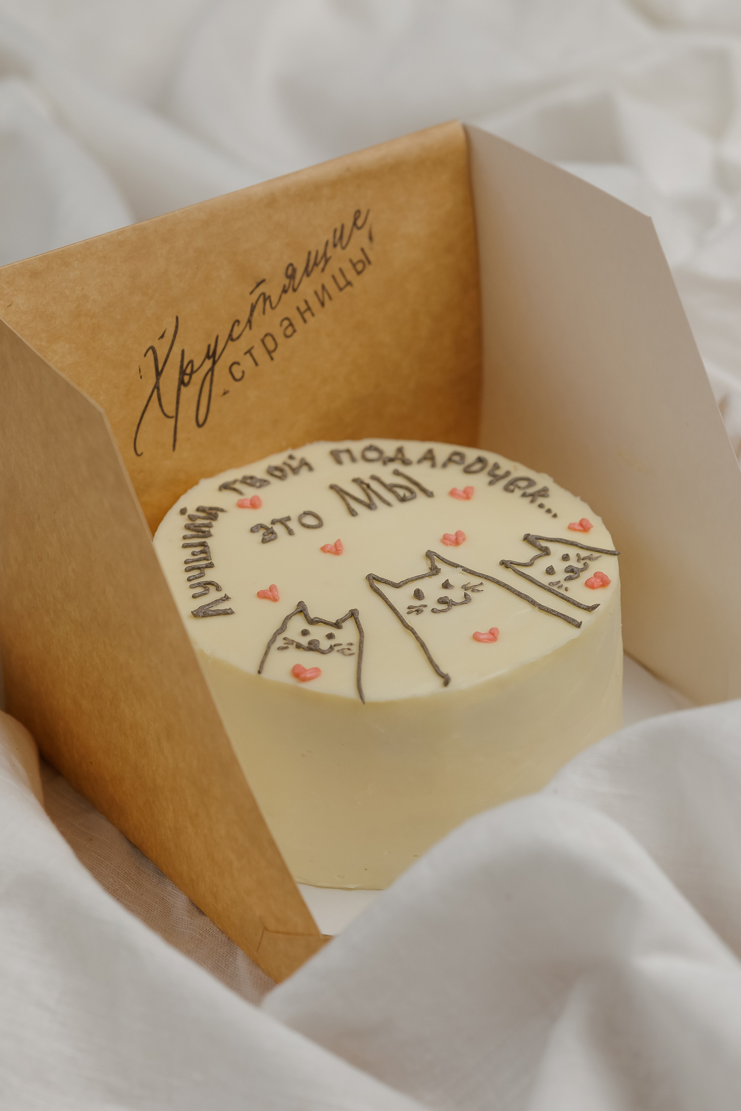 «Хрустящие страницы». Фото и видео контент за одну съемку — Веретенников Егор