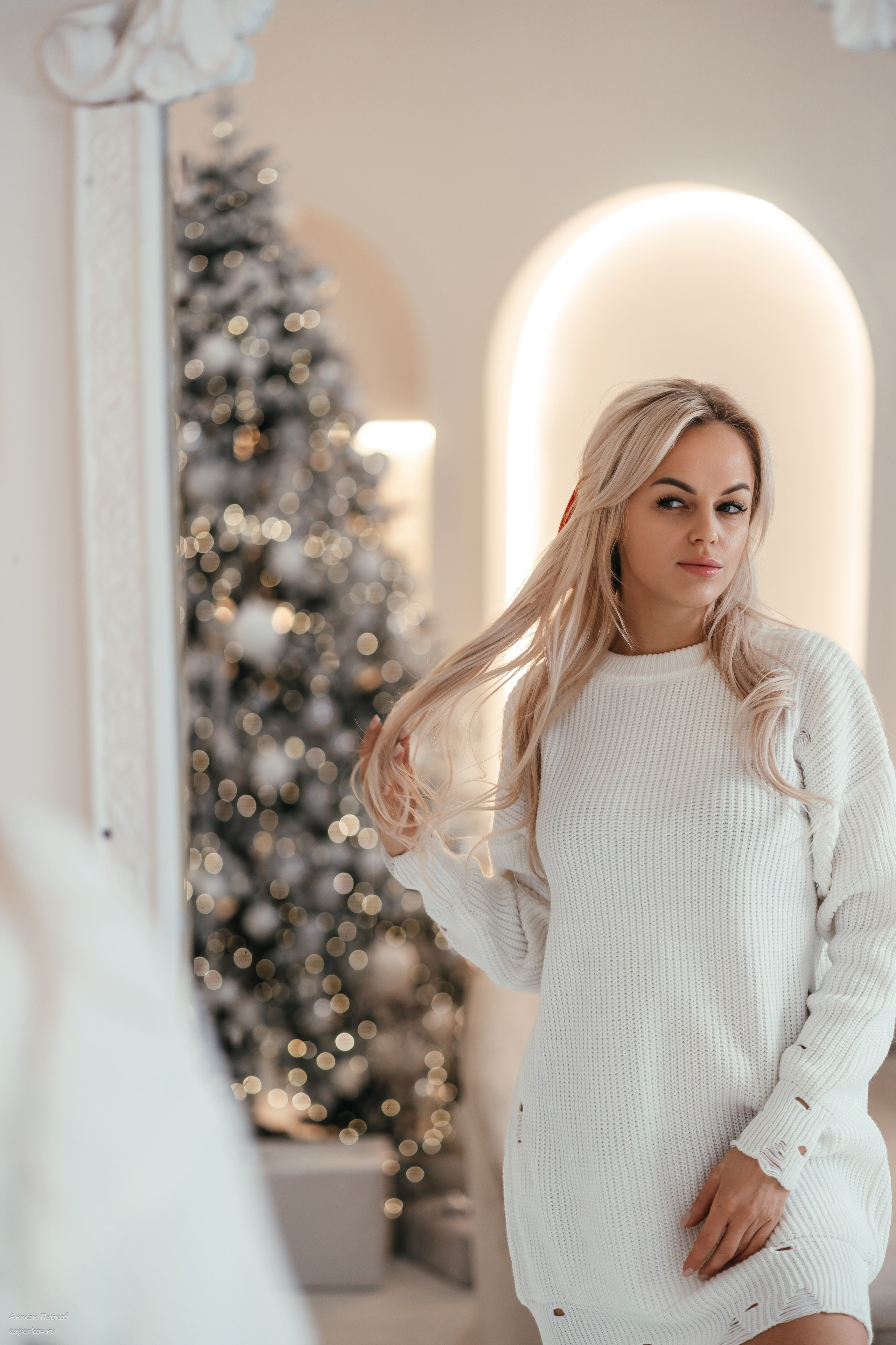 Новогодняя сказка. Фотограф Антон Перков