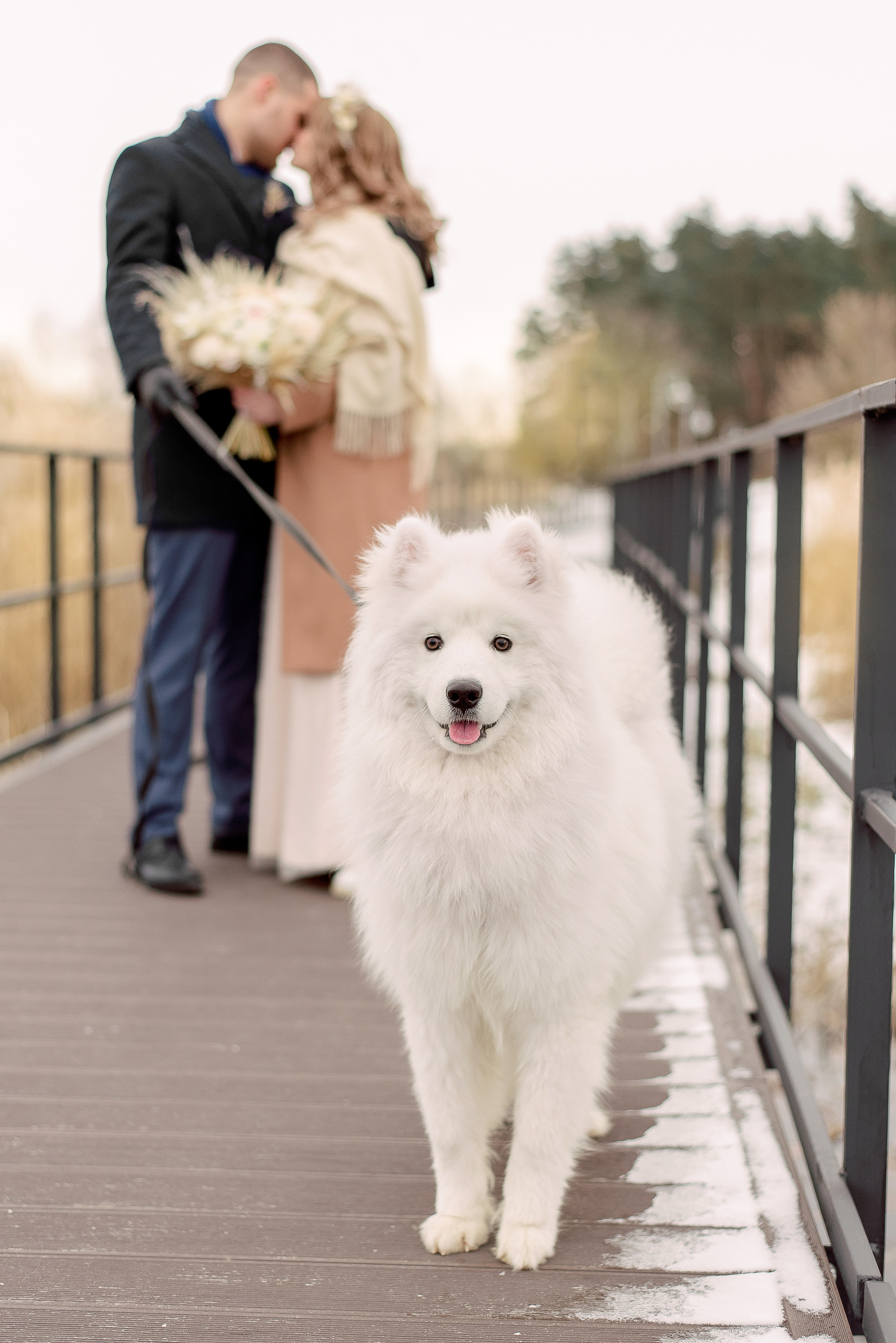 Сергей и Ангелина. Свадебный фотограф в Белгороде Косилов Денис
