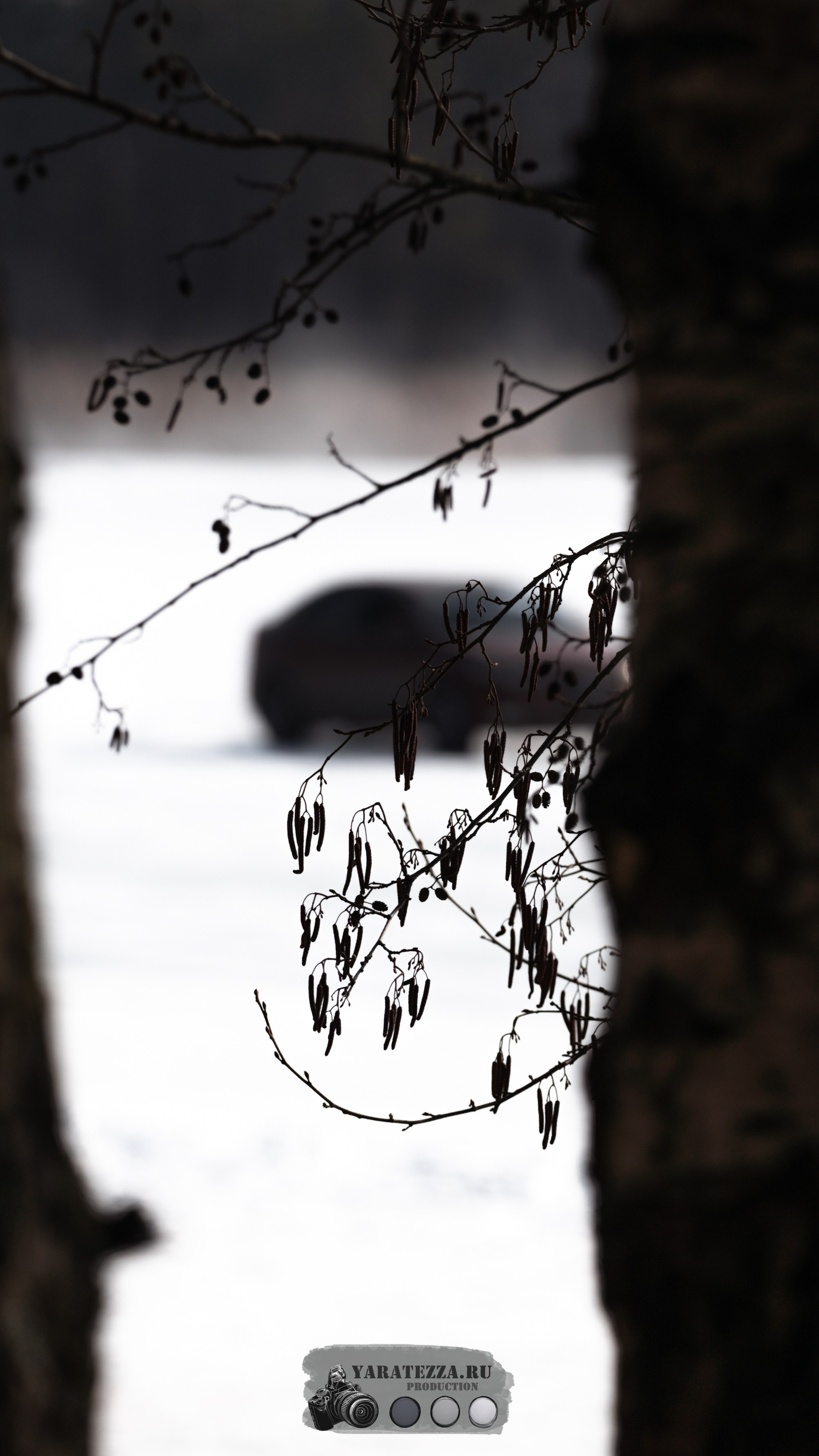 Тренировочный день на ледовой трассе. Yaratezza production