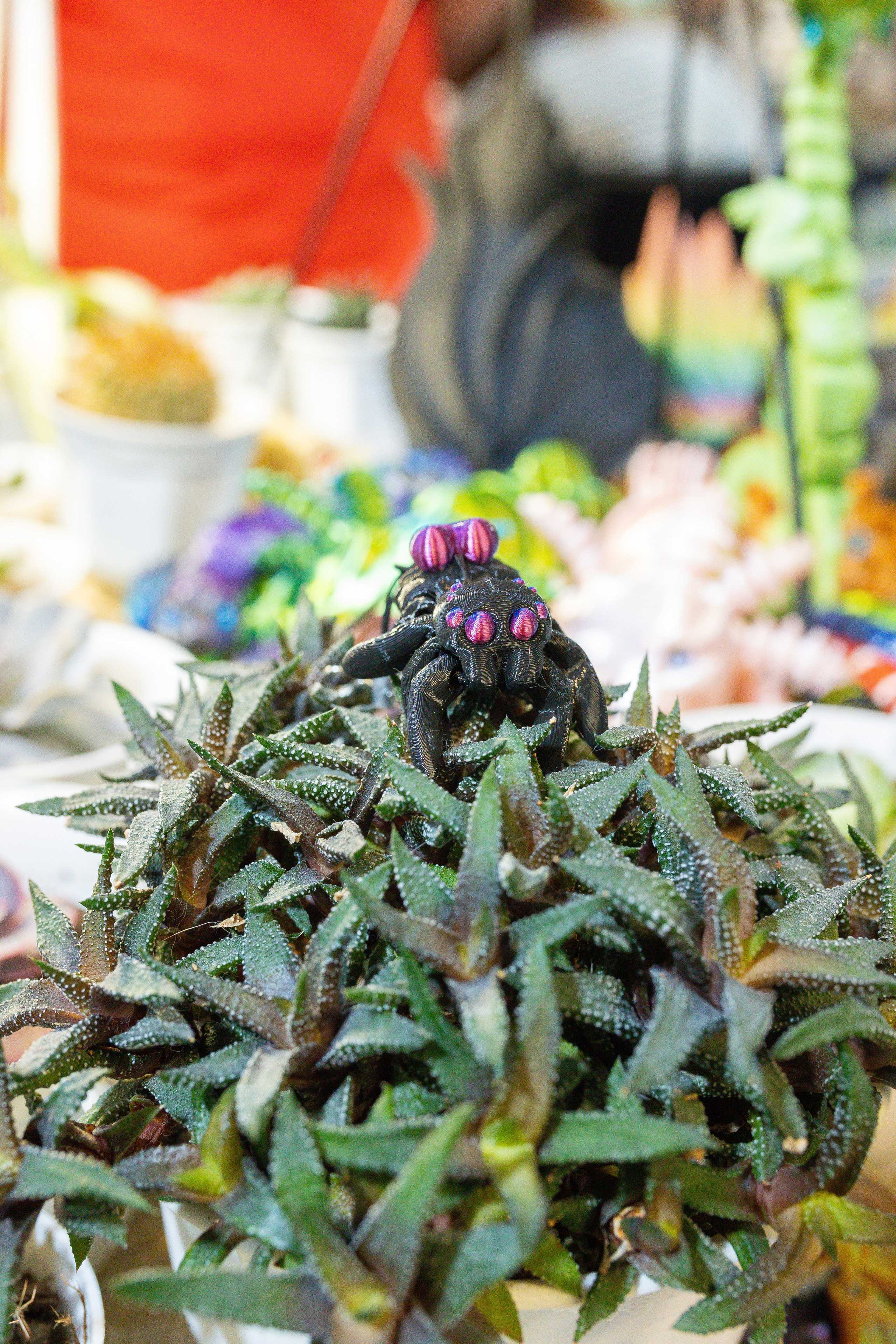 Кактус Фест. Александра Куликова фотограф, Москва