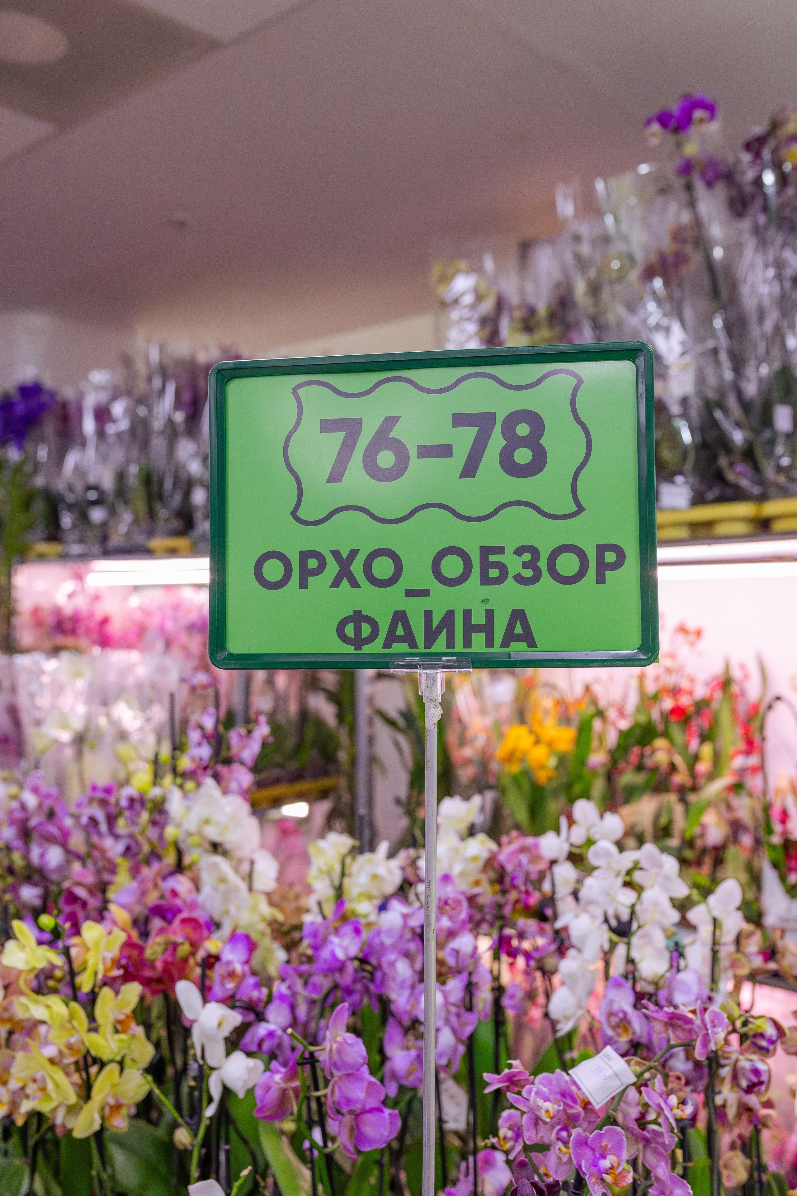 Орхидиум май 2026. Александра Куликова фотограф, Москва