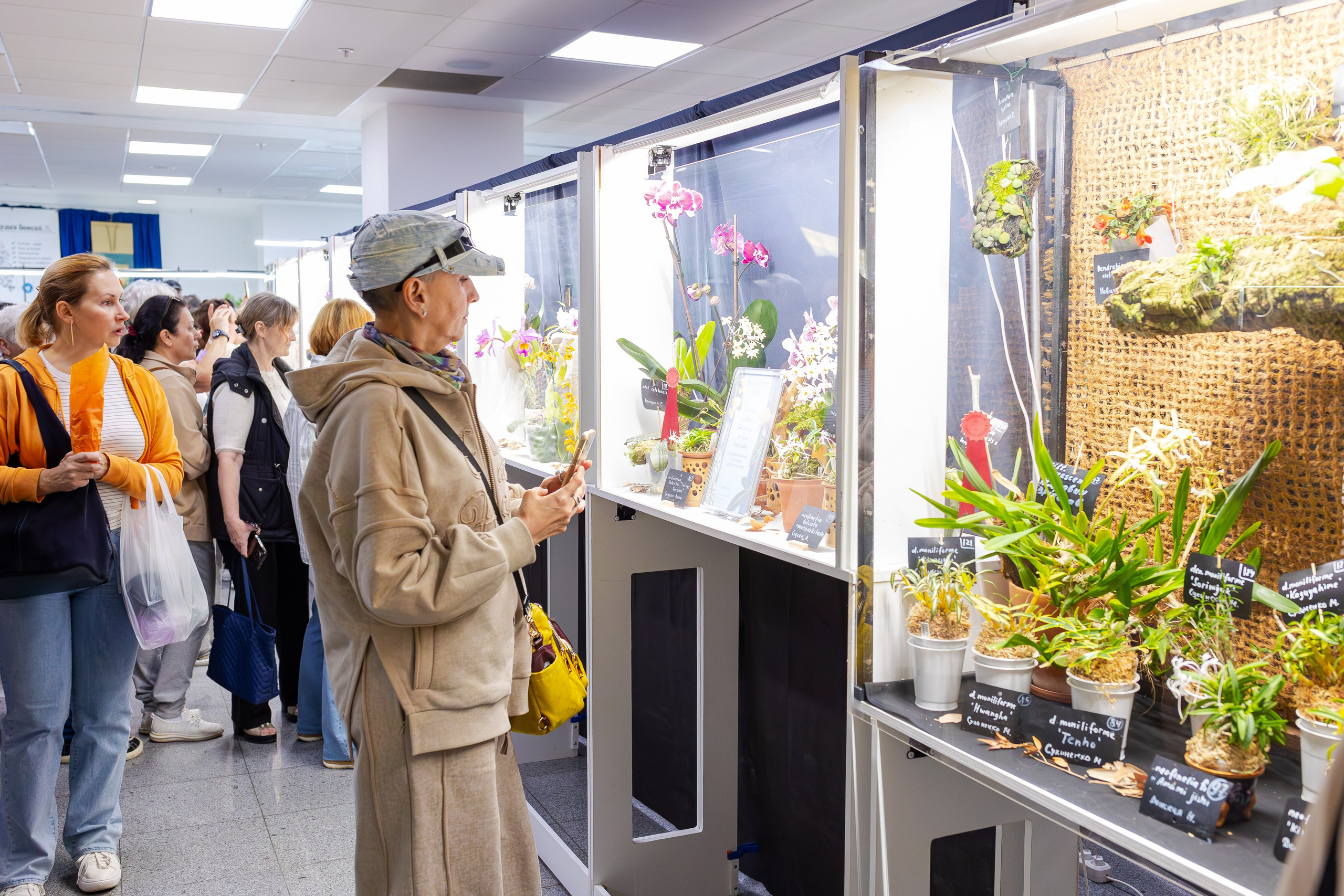 Орхидиум сентябрь 2025. Александра Куликова фотограф, Москва