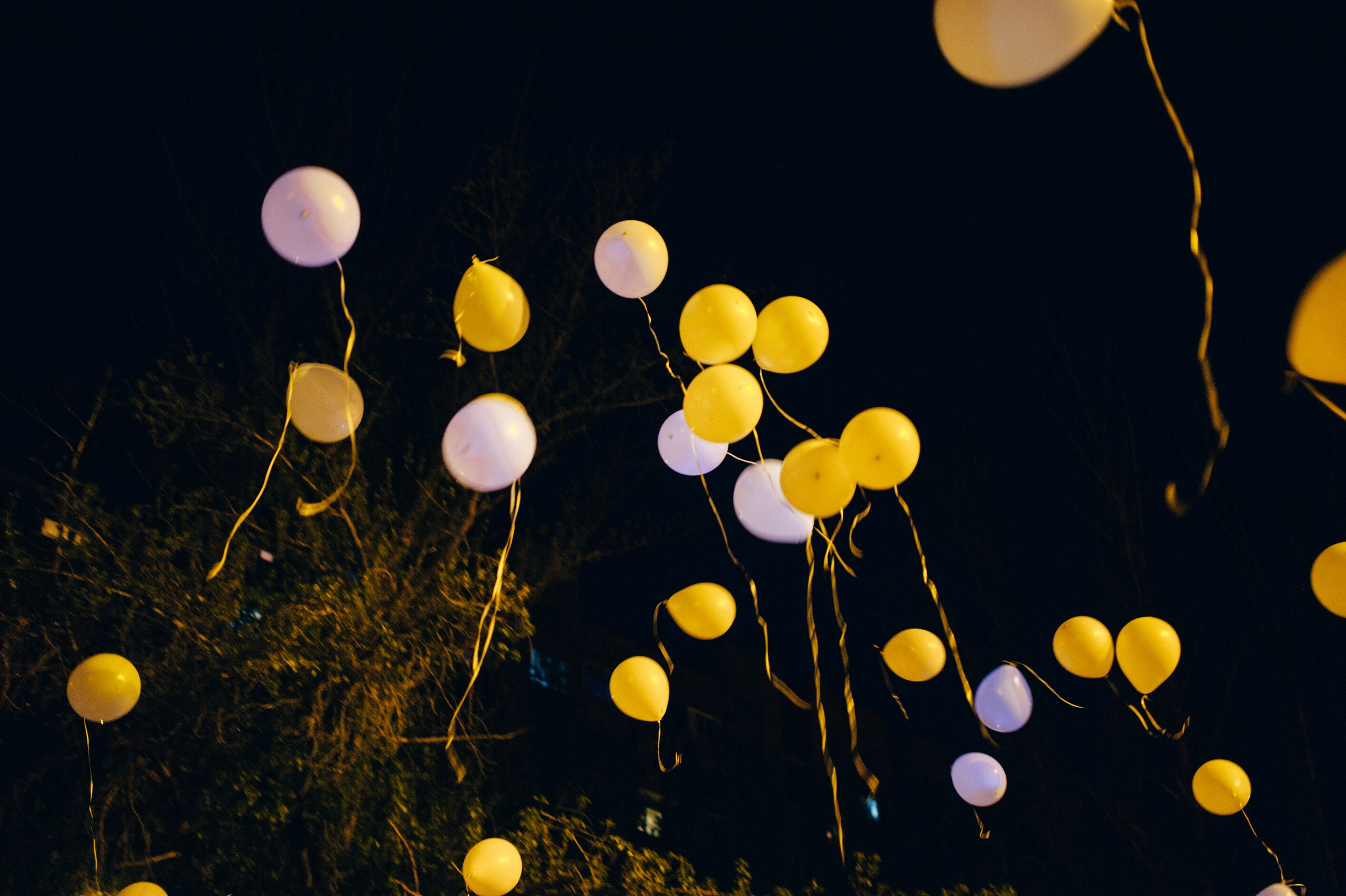 Катя & Коля. Свадебный фотограф/видеограф Максим Черников