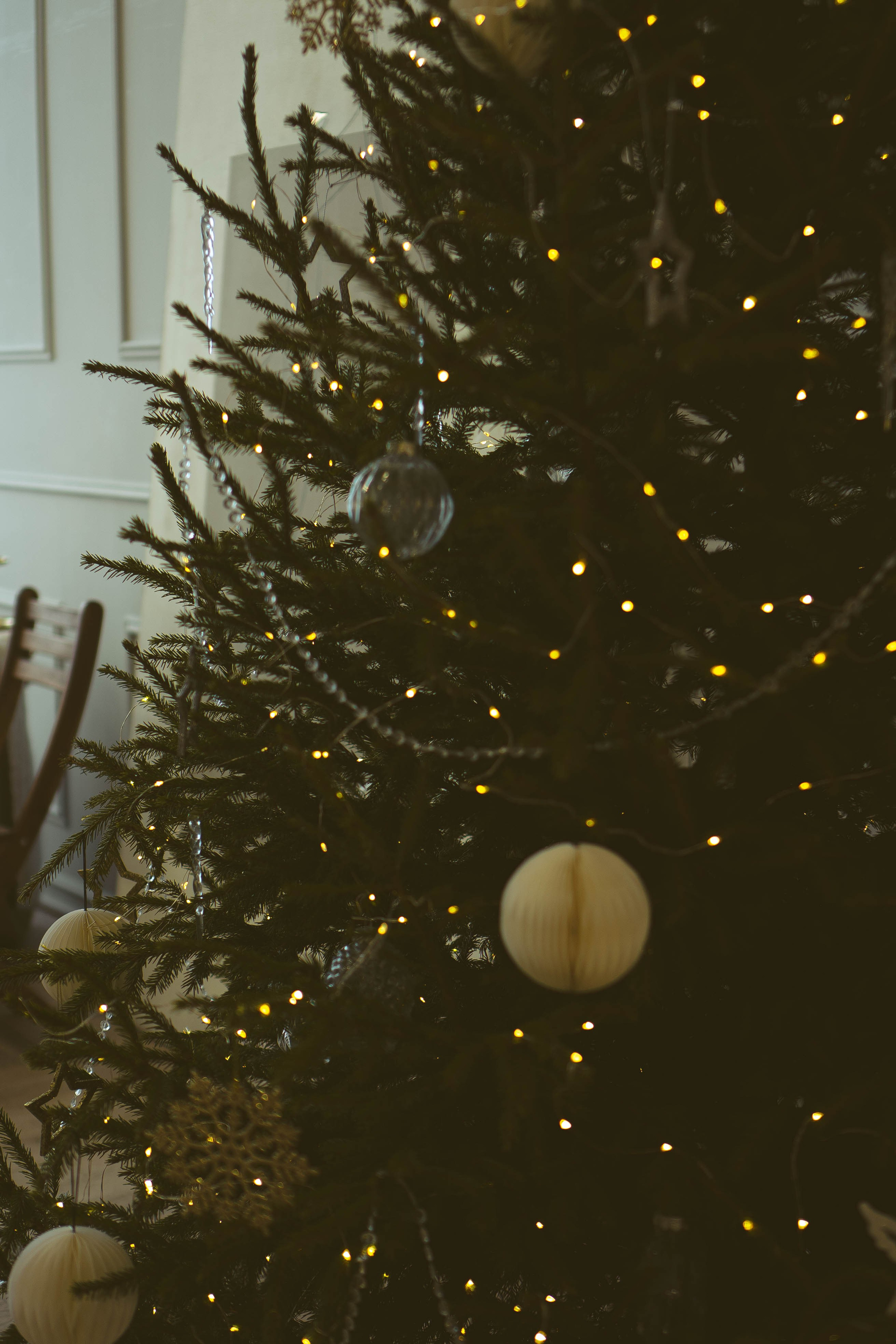 Новогодняя. Профессиональный фотограф, Санкт-Петербург — Виктория Богомолова