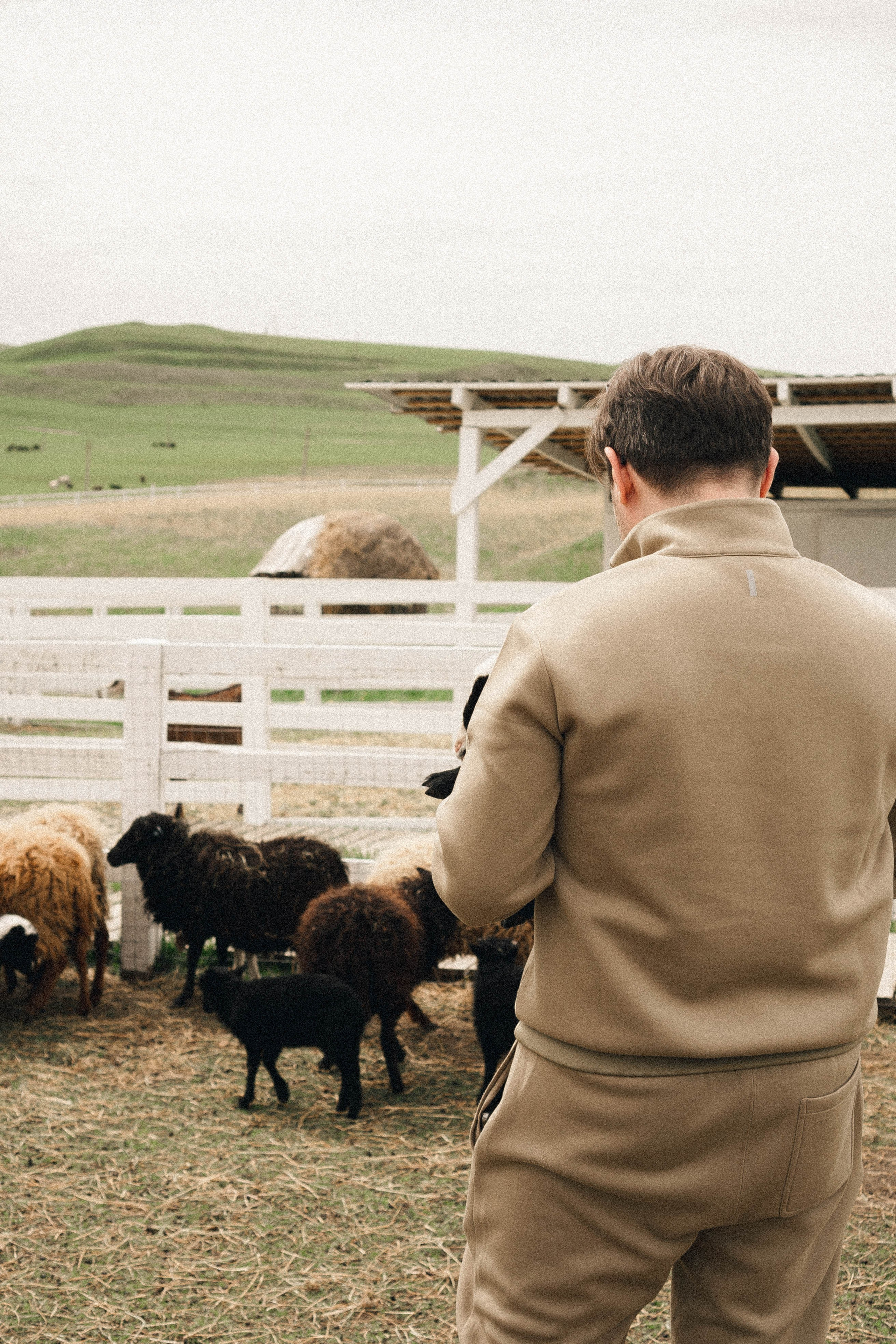 Ферма Альпак. Профессиональный фотограф, Санкт-Петербург — Виктория Богомолова