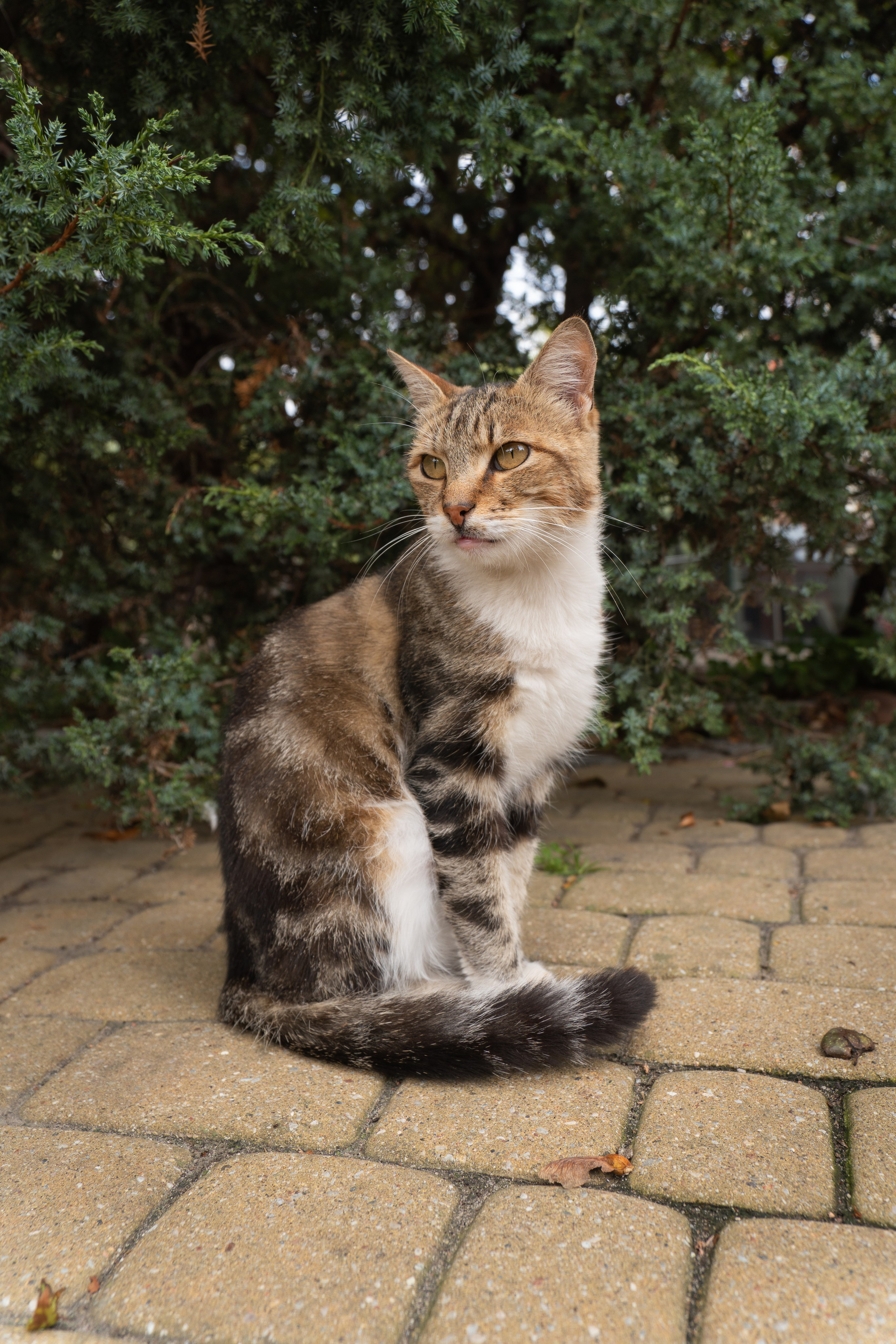 Калининградская область. Gusarov Travel Photography