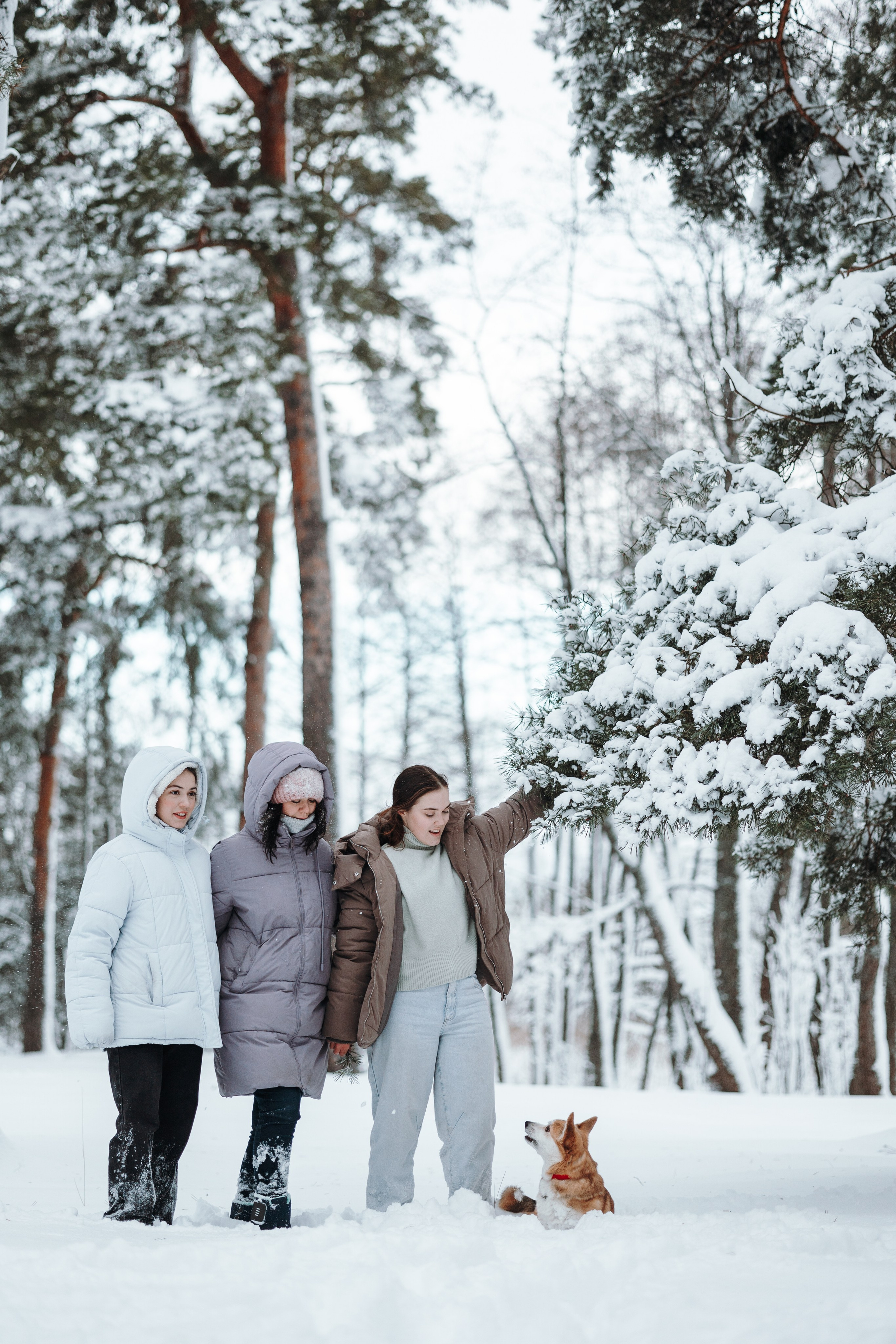 Оливка и ее семья. Фотограф — Анималист | Санкт-Петербург