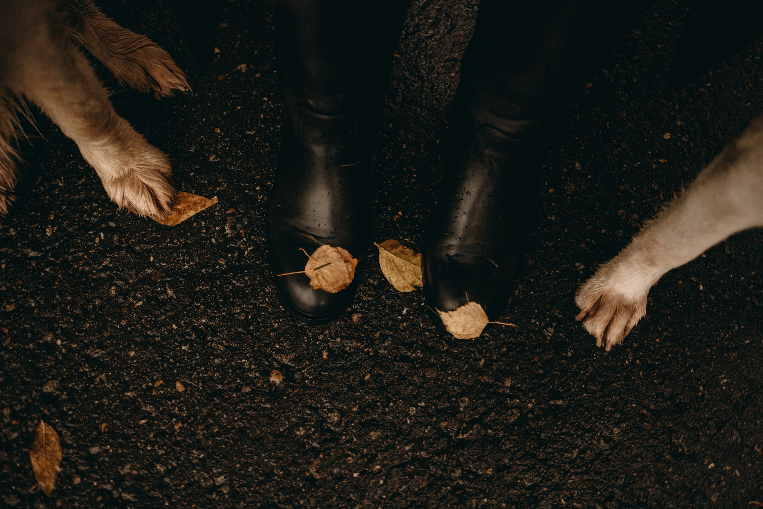 Женя и ее девочки. Фотограф — Анималист | Санкт-Петербург