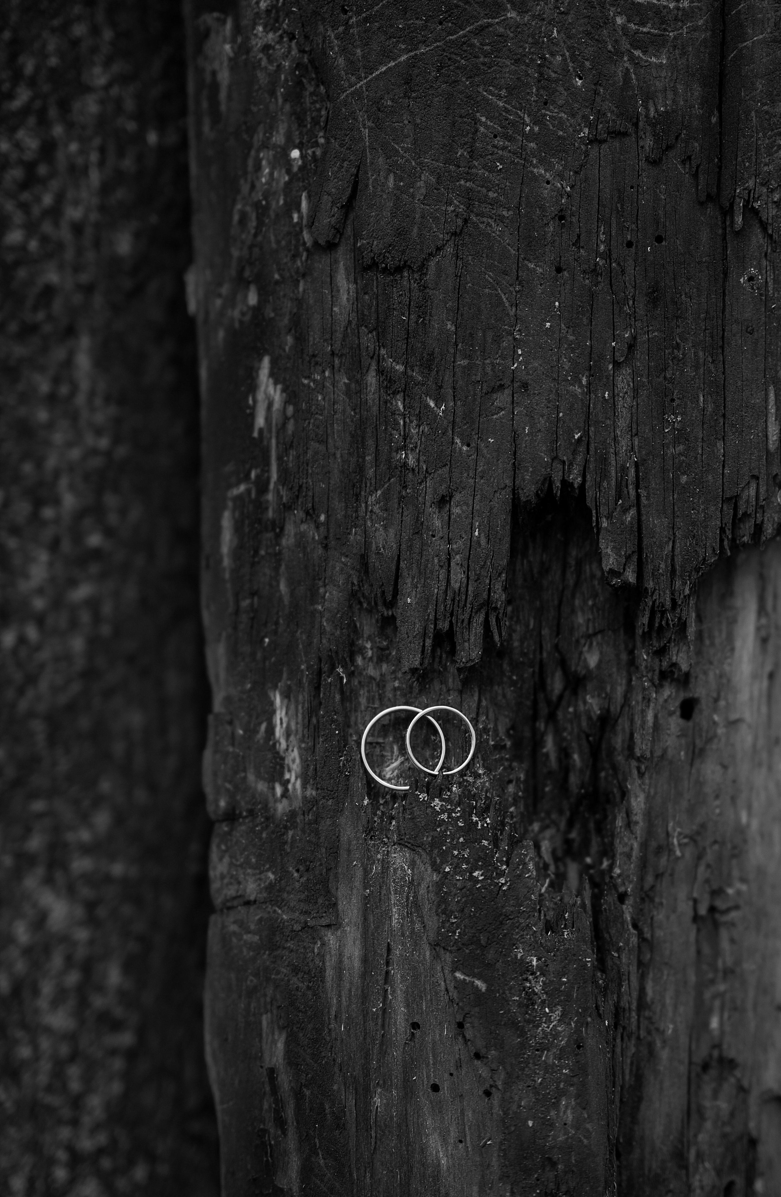 Свадьба на площадке «Дом у леса». Свадебный фотограф