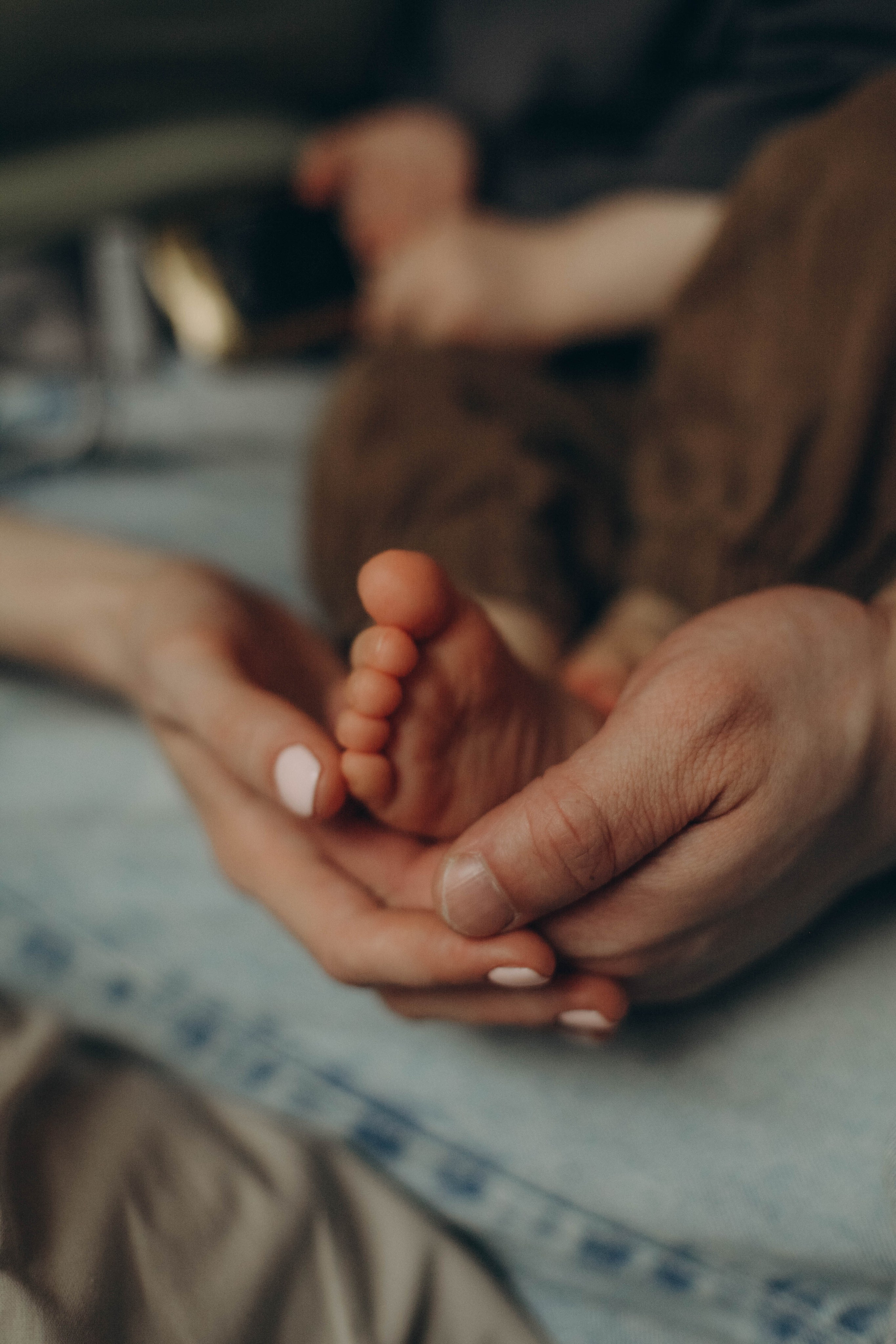 Daniel. Семейная фотография в Санкт-Петербурге Елизавета Шепель