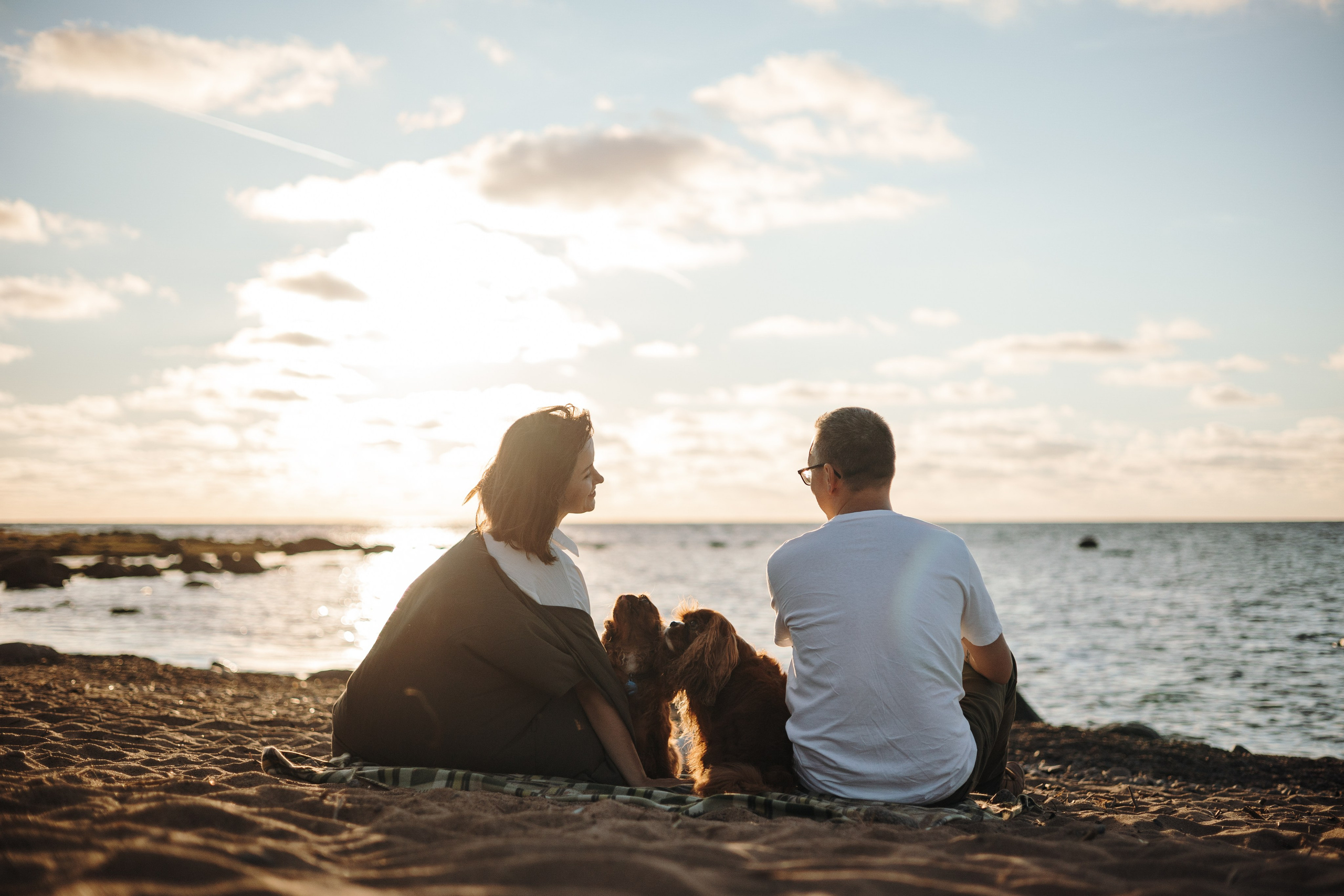 Верон, Гарри и их семья. Фотограф — Анималист | Санкт-Петербург