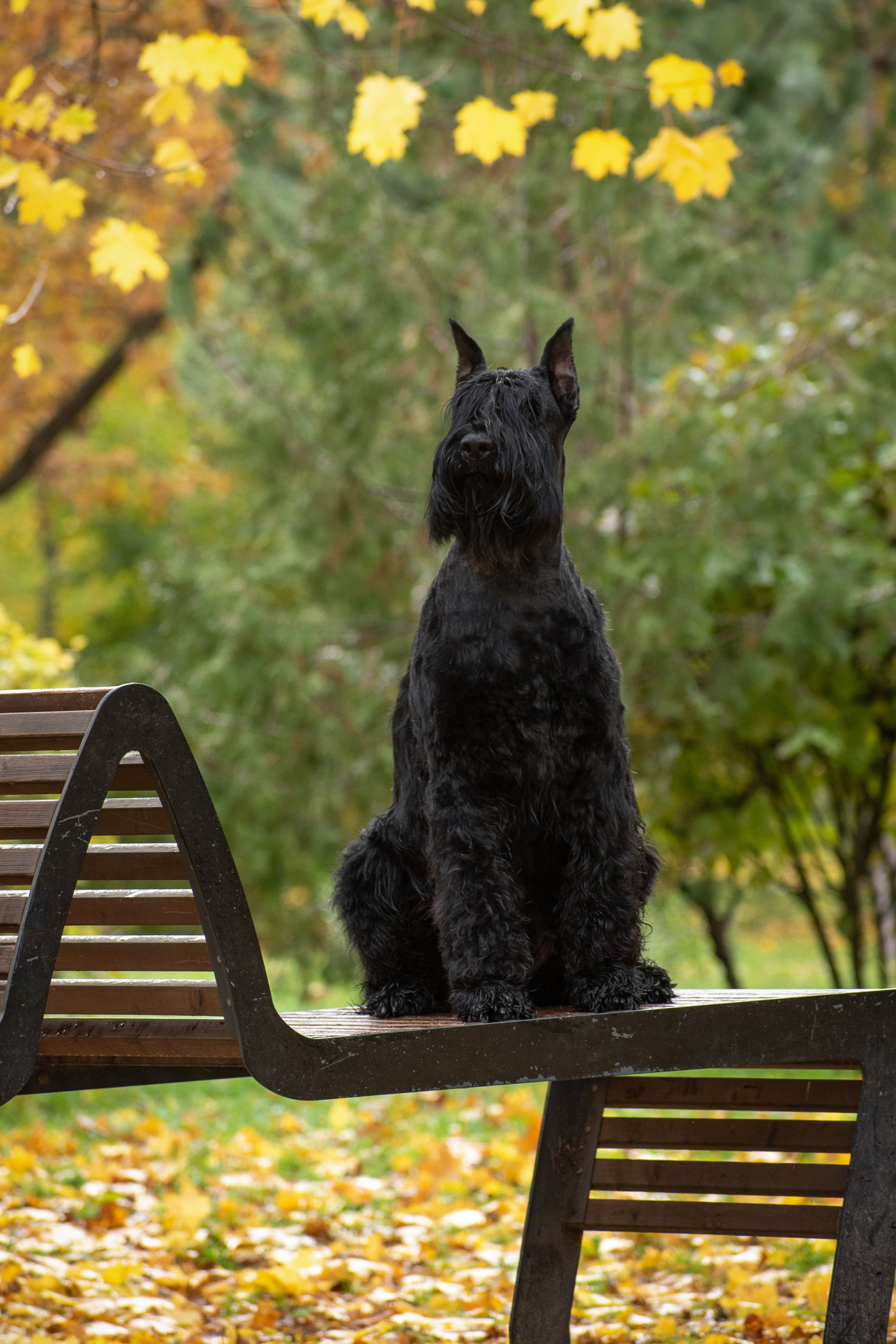 Фотопрогулки. Фотограф анималист в Ростове I Гончарова Анна