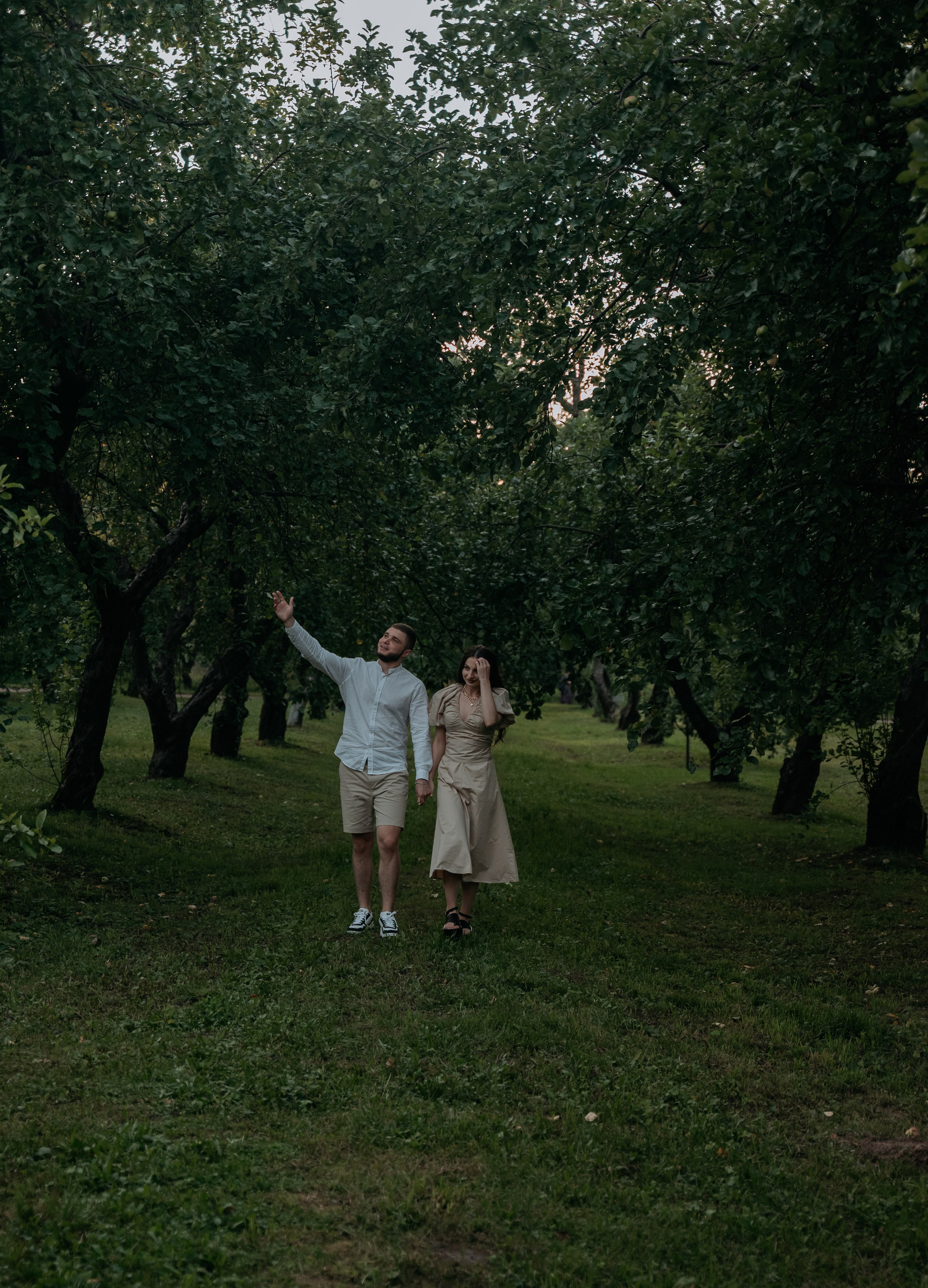 Романтический пикник