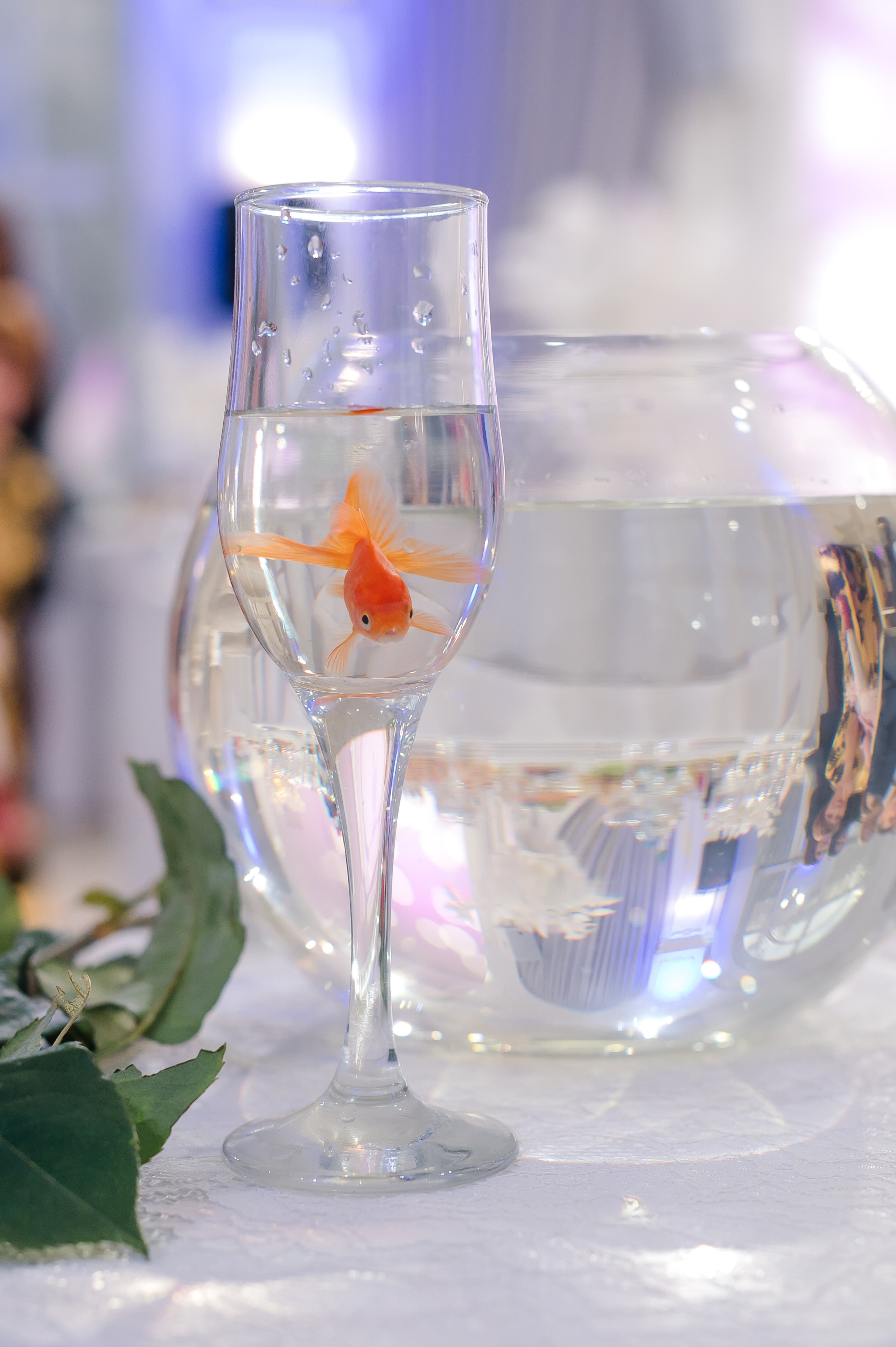 Евгений и Ольга. Свадебный и семейный фотограф в Чебоксарах Ирина Левнер