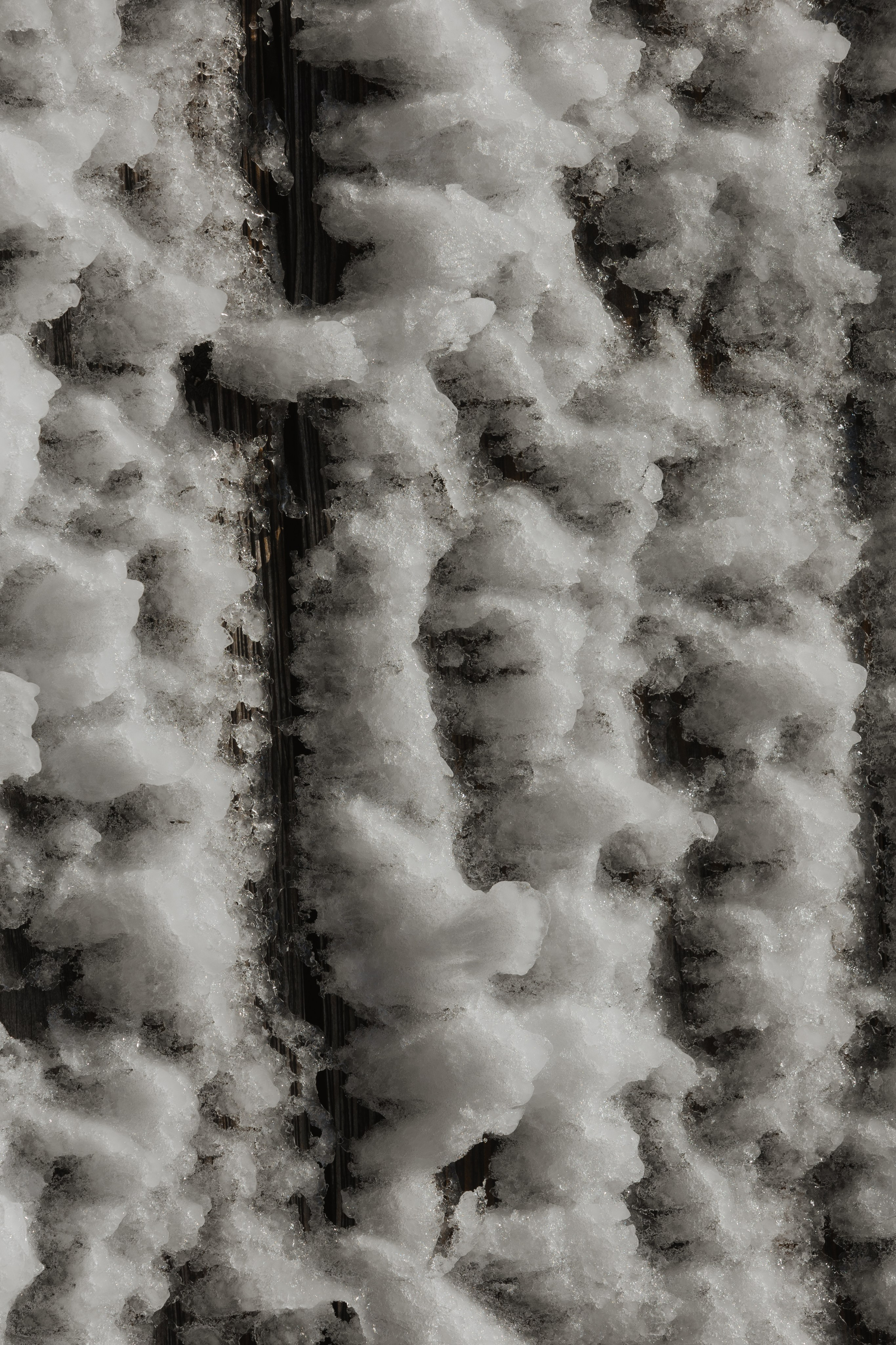 WS. @dariazphoto свадебный фотограф