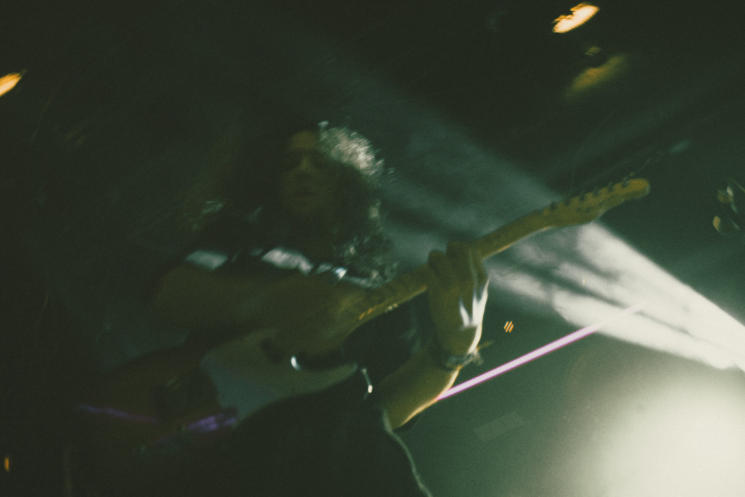 Концерт «Бонд с Кнопкой» 16тонн. Портретный и художественный фотограф в Москве