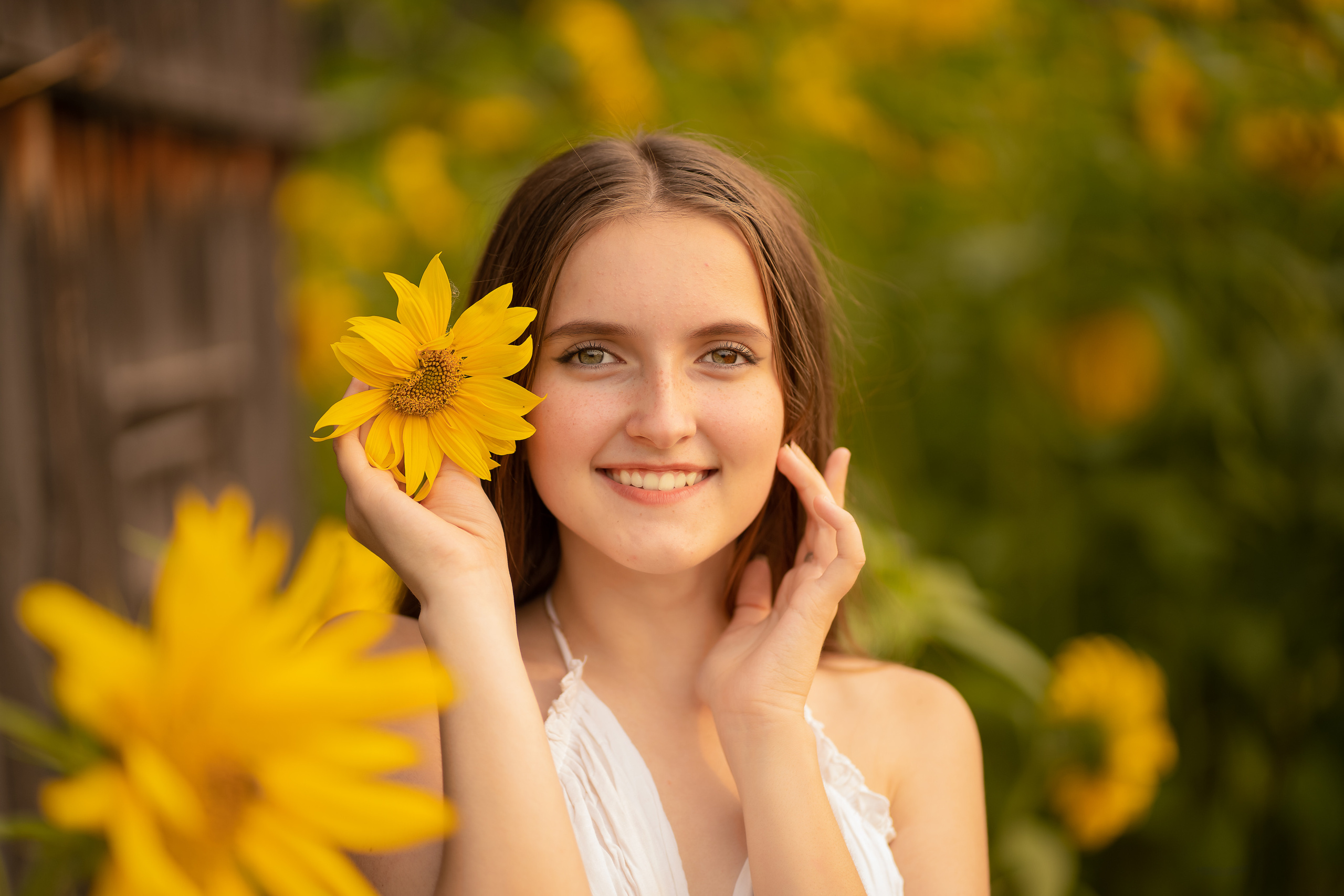 Подсолнухи. Фотограф Татьяна Митрофанова