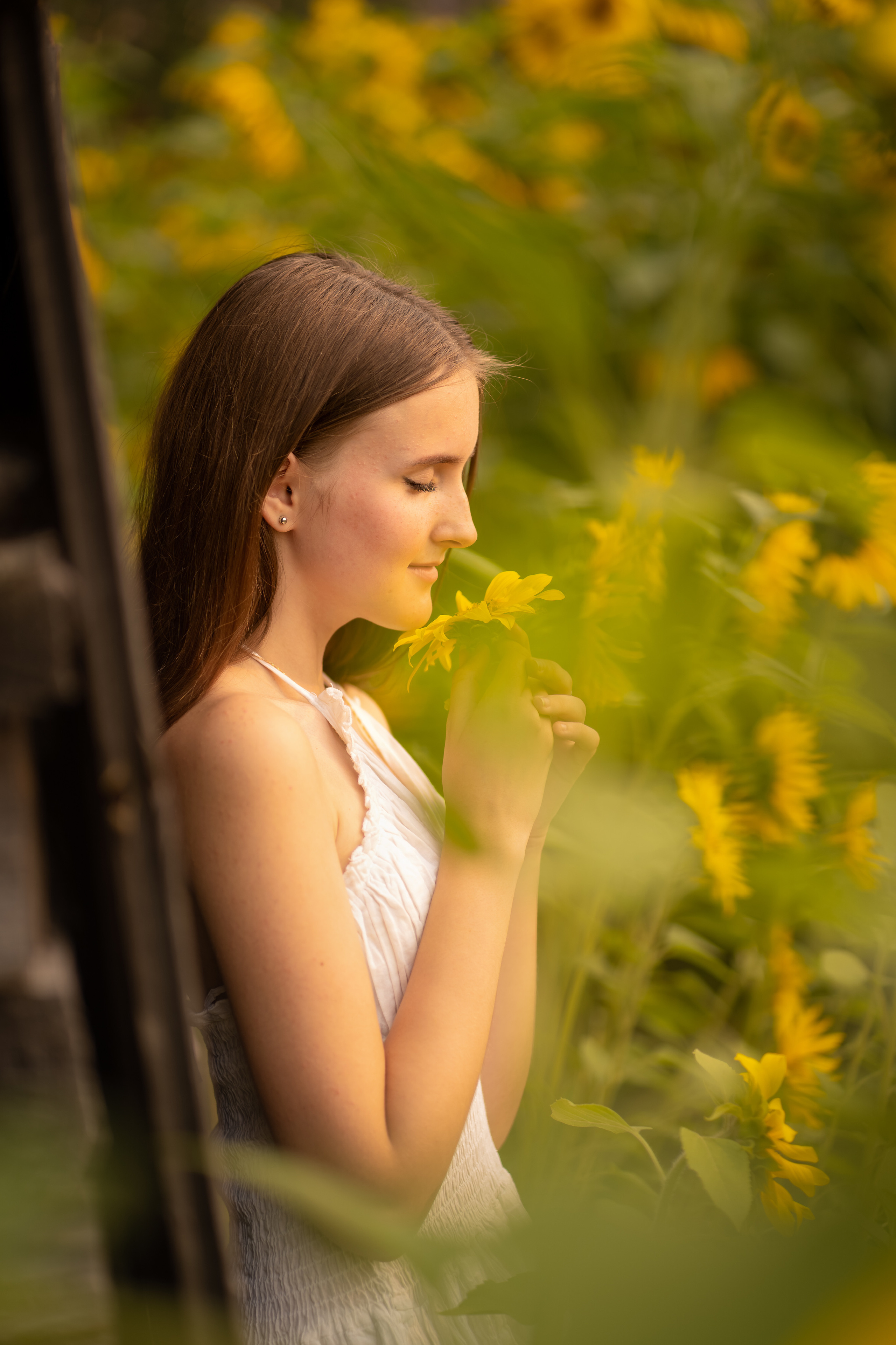 Подсолнухи. Фотограф Татьяна Митрофанова
