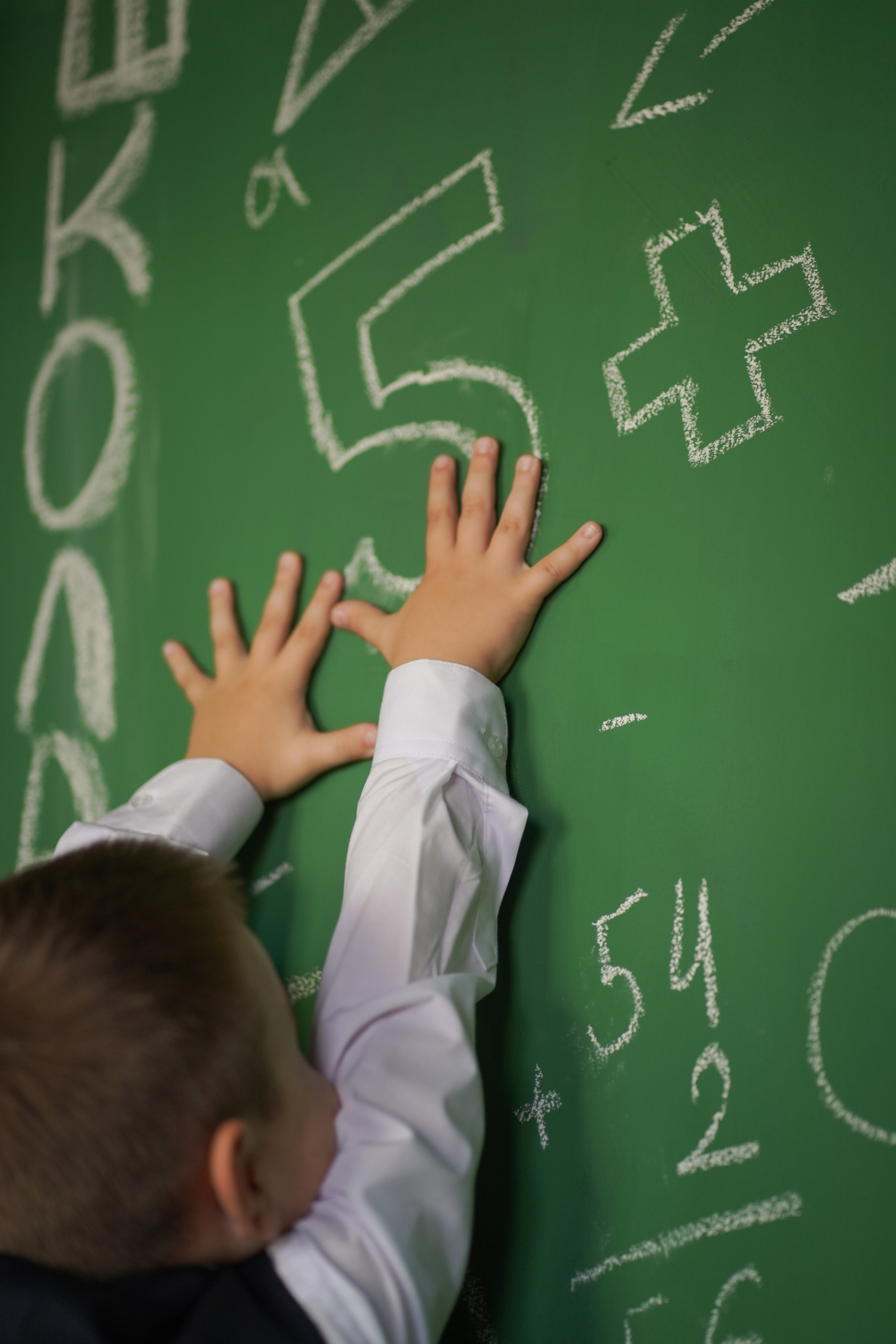 Первоклашка. Фотограф Татьяна Митрофанова